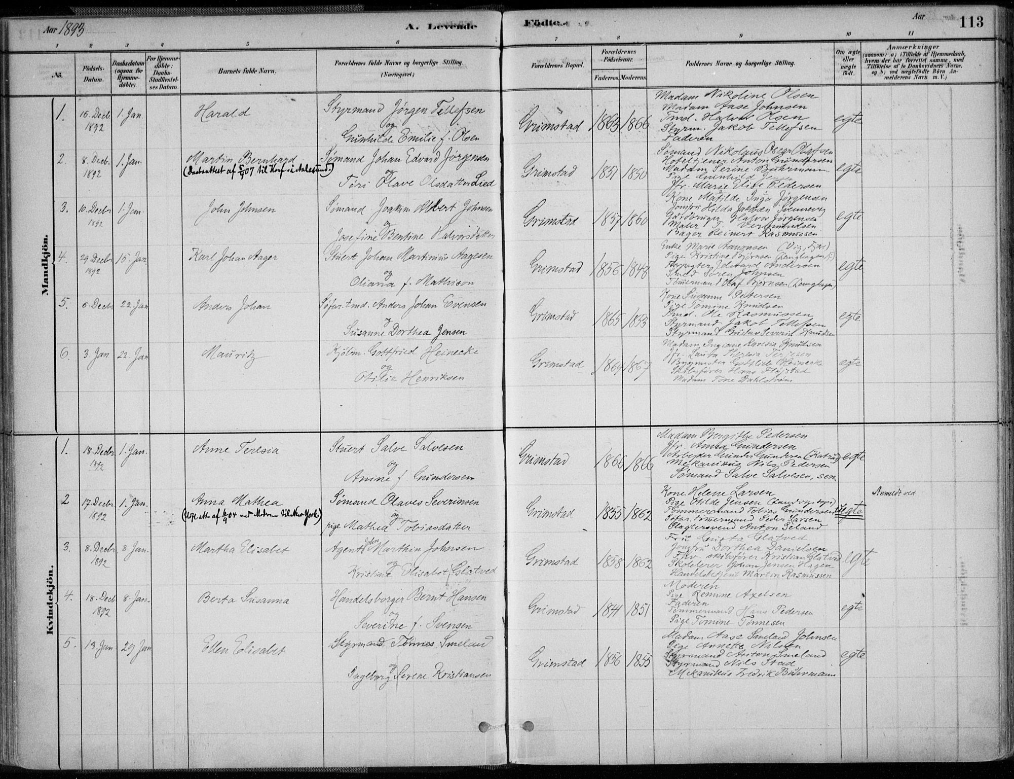 Grimstad sokneprestkontor, SAK/1111-0017/F/Fa/L0003: Parish register (official) no. A 2, 1882-1912, p. 113