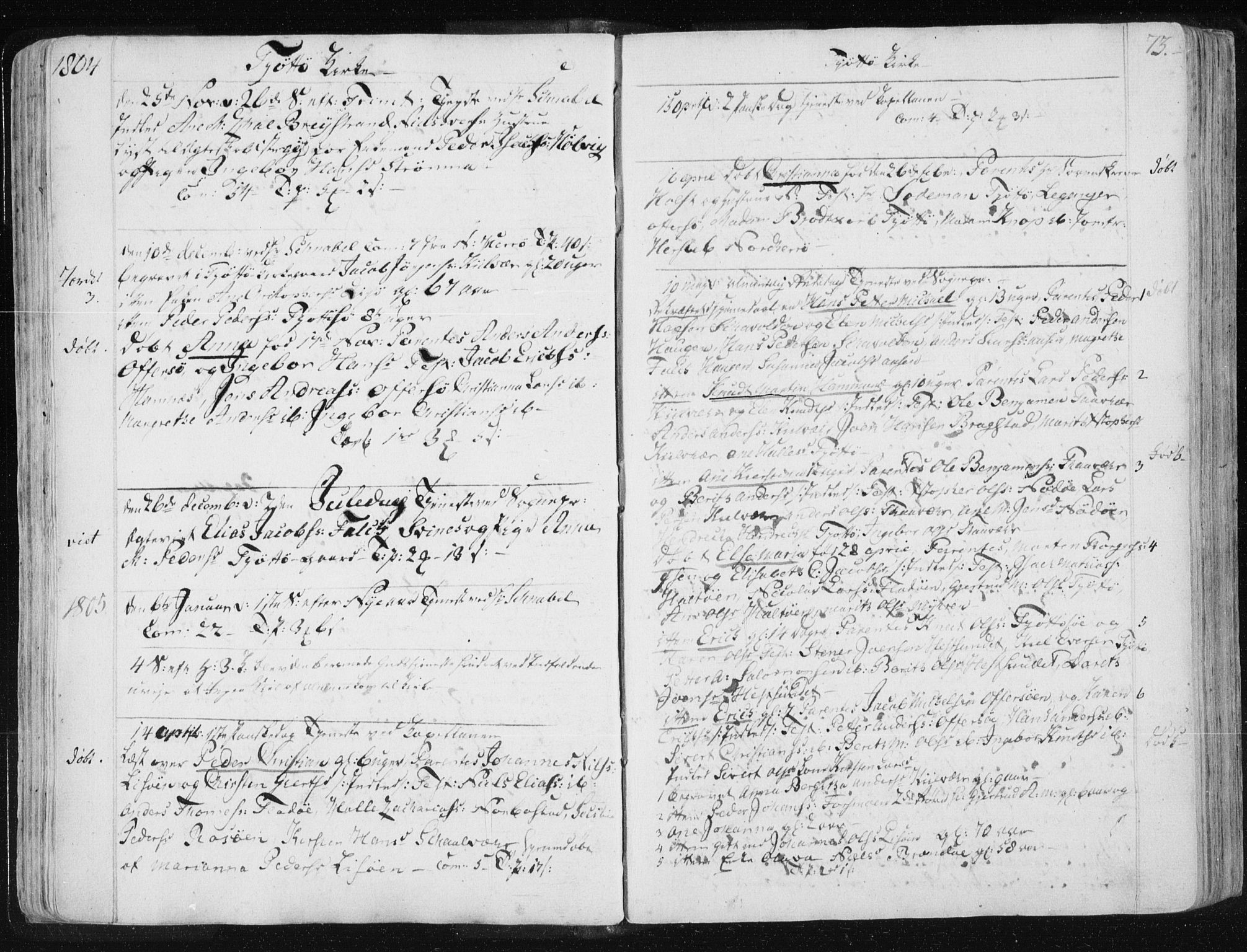 Ministerialprotokoller, klokkerbøker og fødselsregistre - Nordland, AV/SAT-A-1459/830/L0444: Parish register (official) no. 830A08, 1801-1819, p. 73