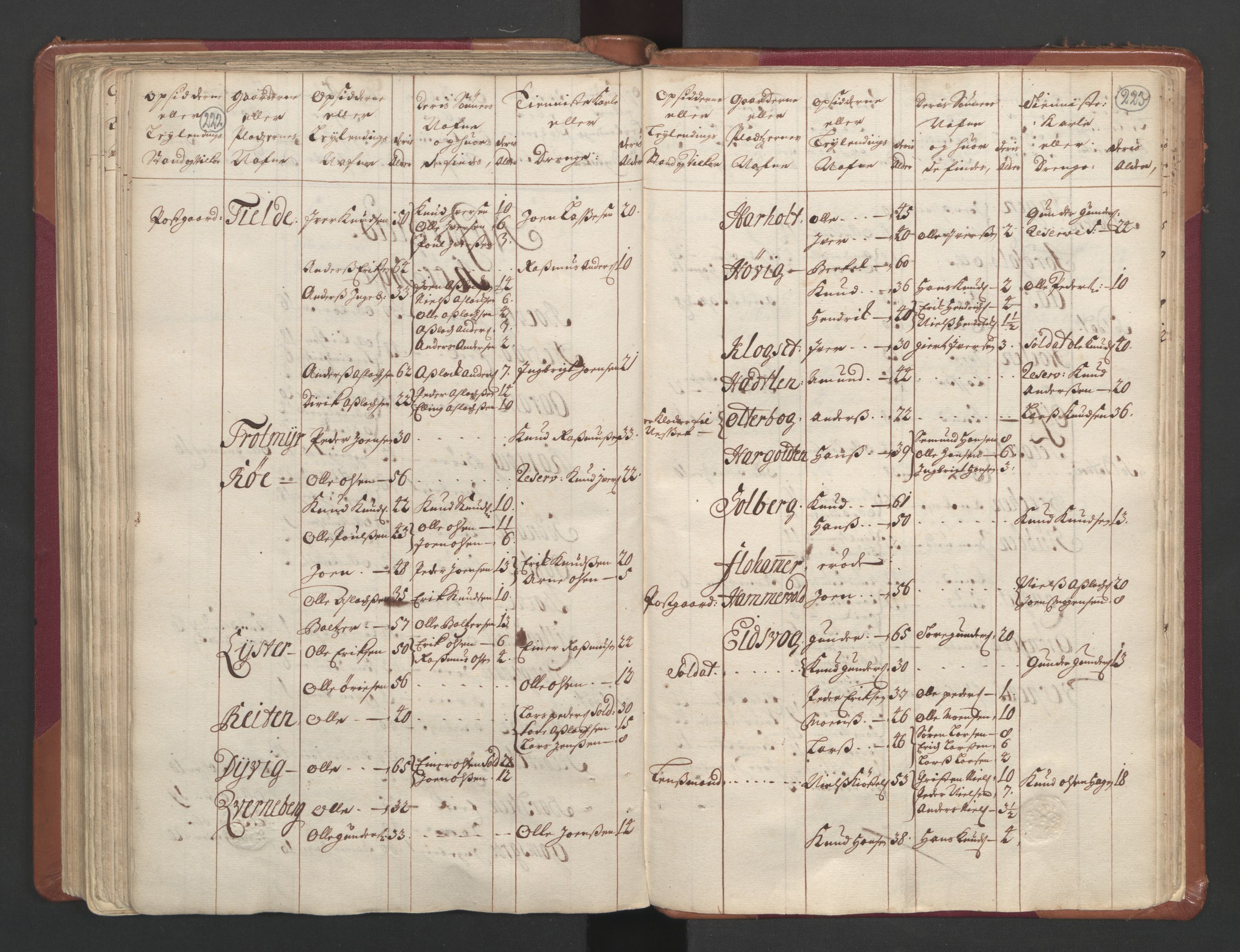 RA, Census (manntall) 1701, no. 11: Nordmøre fogderi and Romsdal fogderi, 1701, p. 222-223