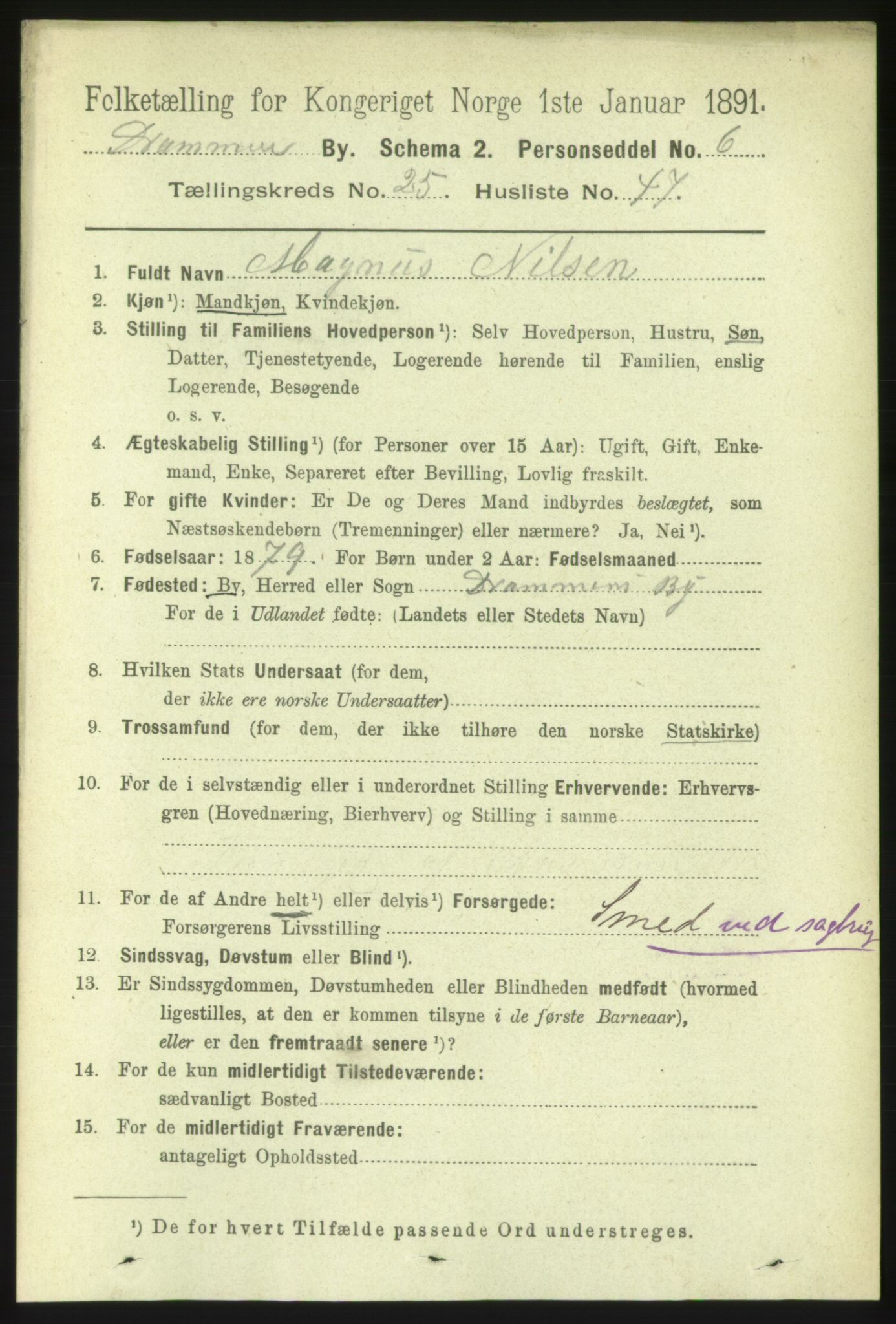 RA, 1891 census for 0602 Drammen, 1891, p. 15778