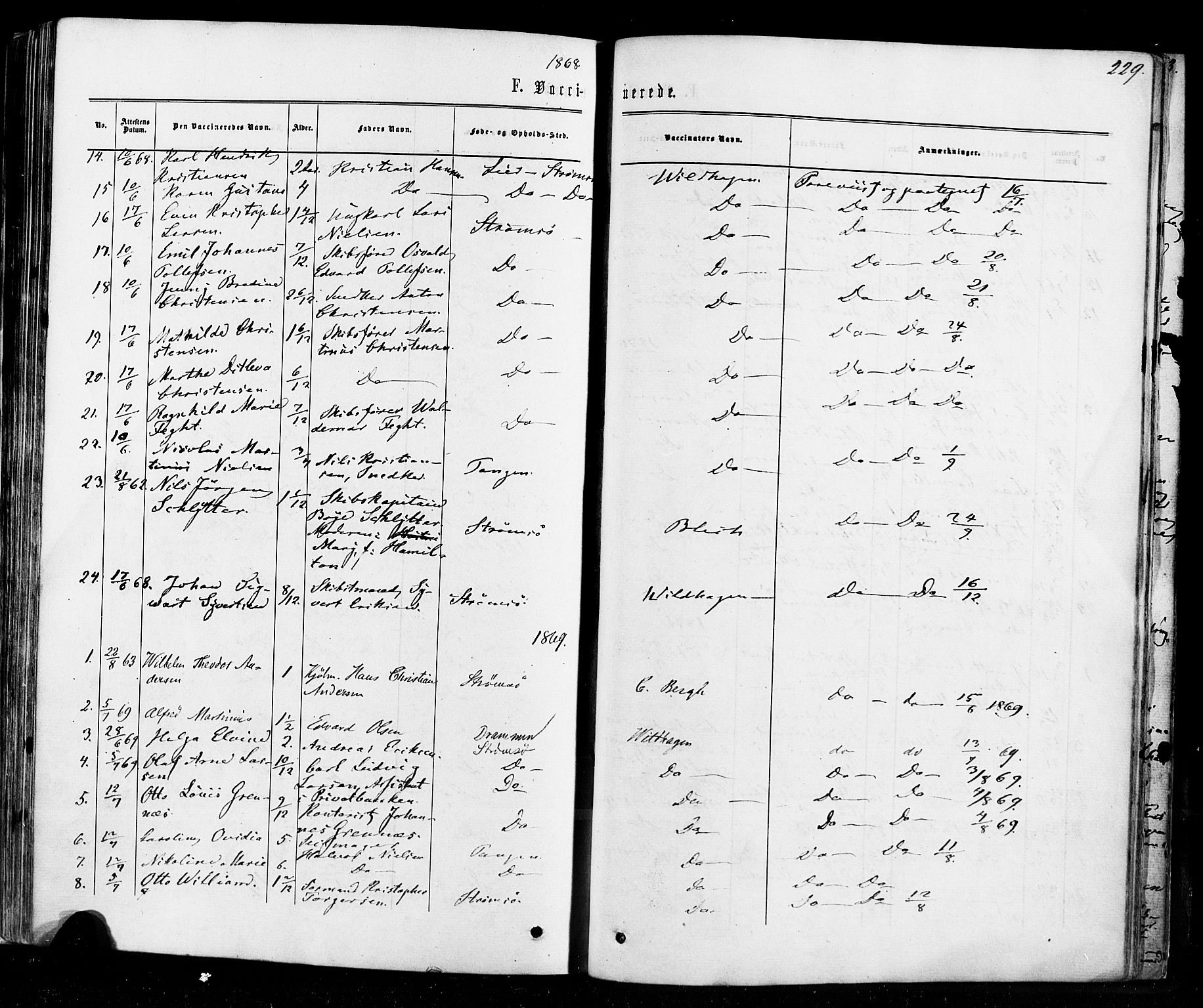 Strømsø kirkebøker, SAKO/A-246/F/Fa/L0018: Parish register (official) no. I 18, 1865-1878, p. 229