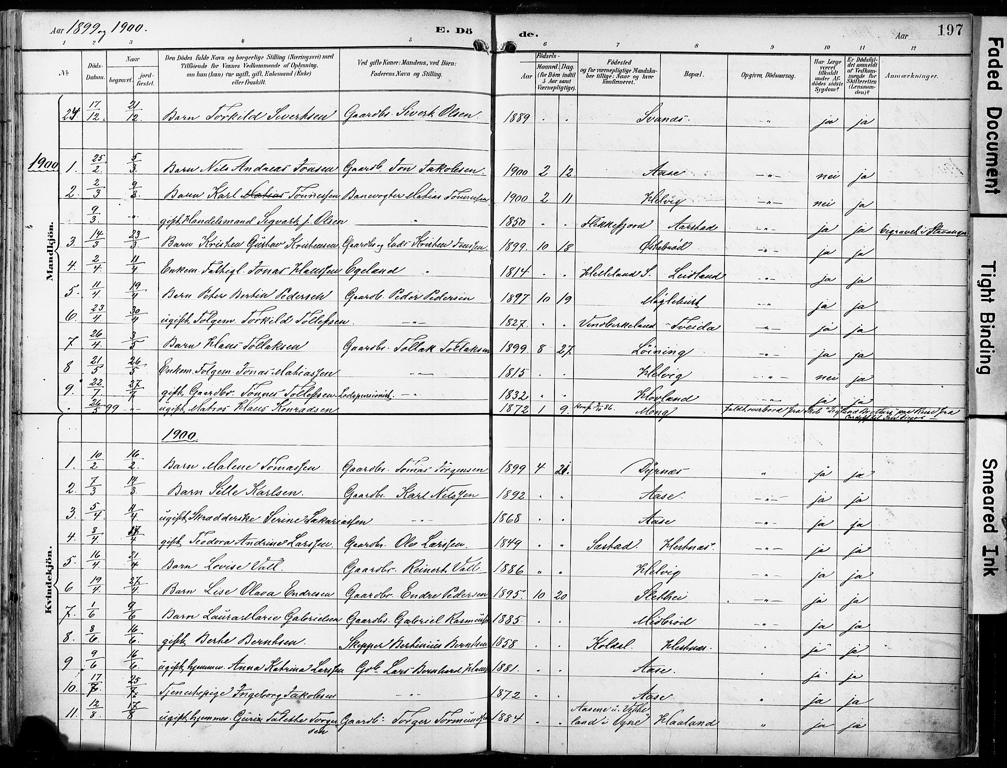 Eigersund sokneprestkontor, AV/SAST-A-101807/S08/L0018: Parish register (official) no. A 17, 1892-1905, p. 197