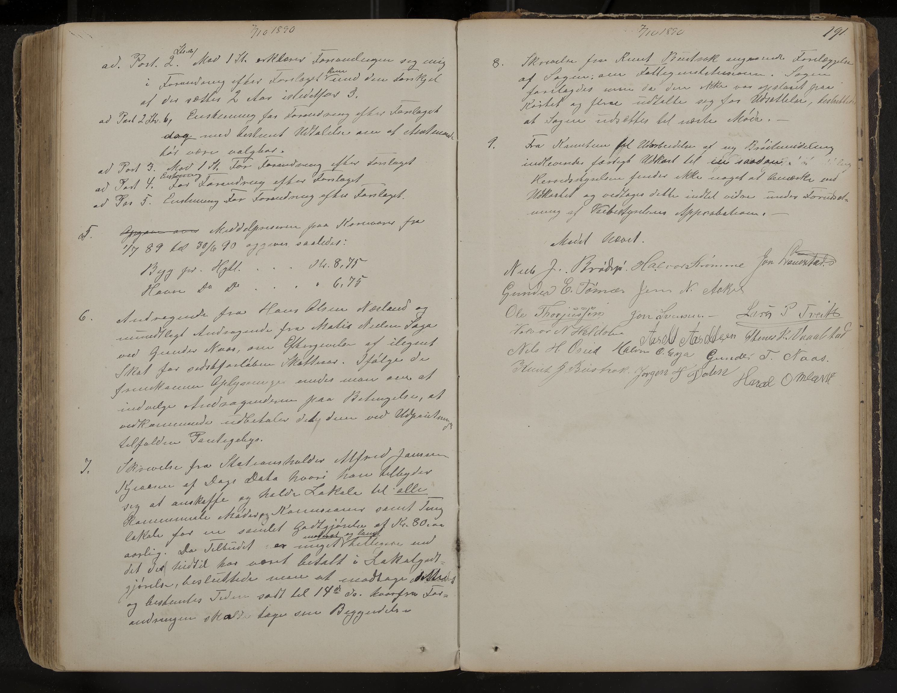 Drangedal formannskap og sentraladministrasjon, IKAK/0817021/A/L0002: Møtebok, 1870-1892, p. 191