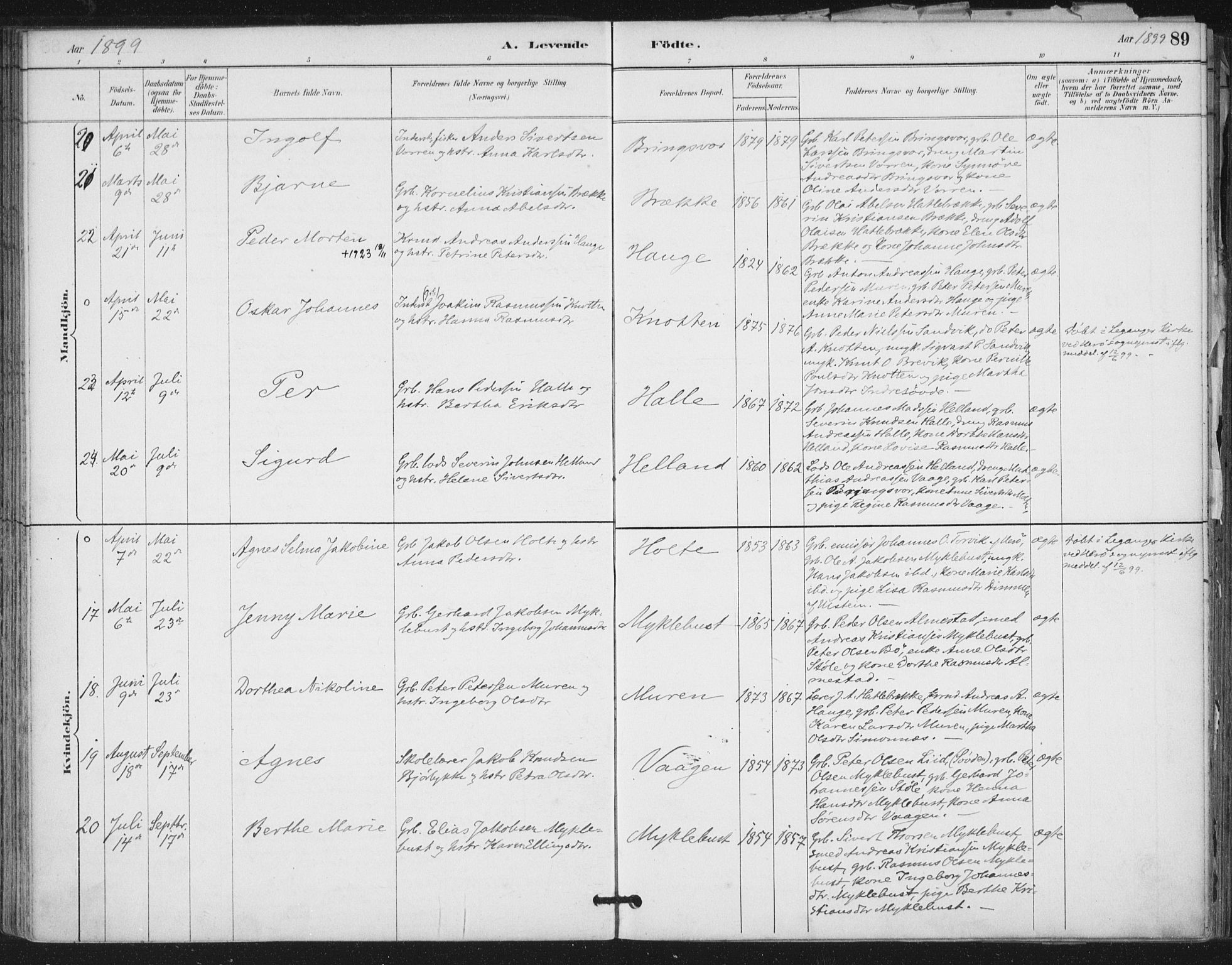 Ministerialprotokoller, klokkerbøker og fødselsregistre - Møre og Romsdal, SAT/A-1454/503/L0037: Parish register (official) no. 503A05, 1884-1900, p. 89