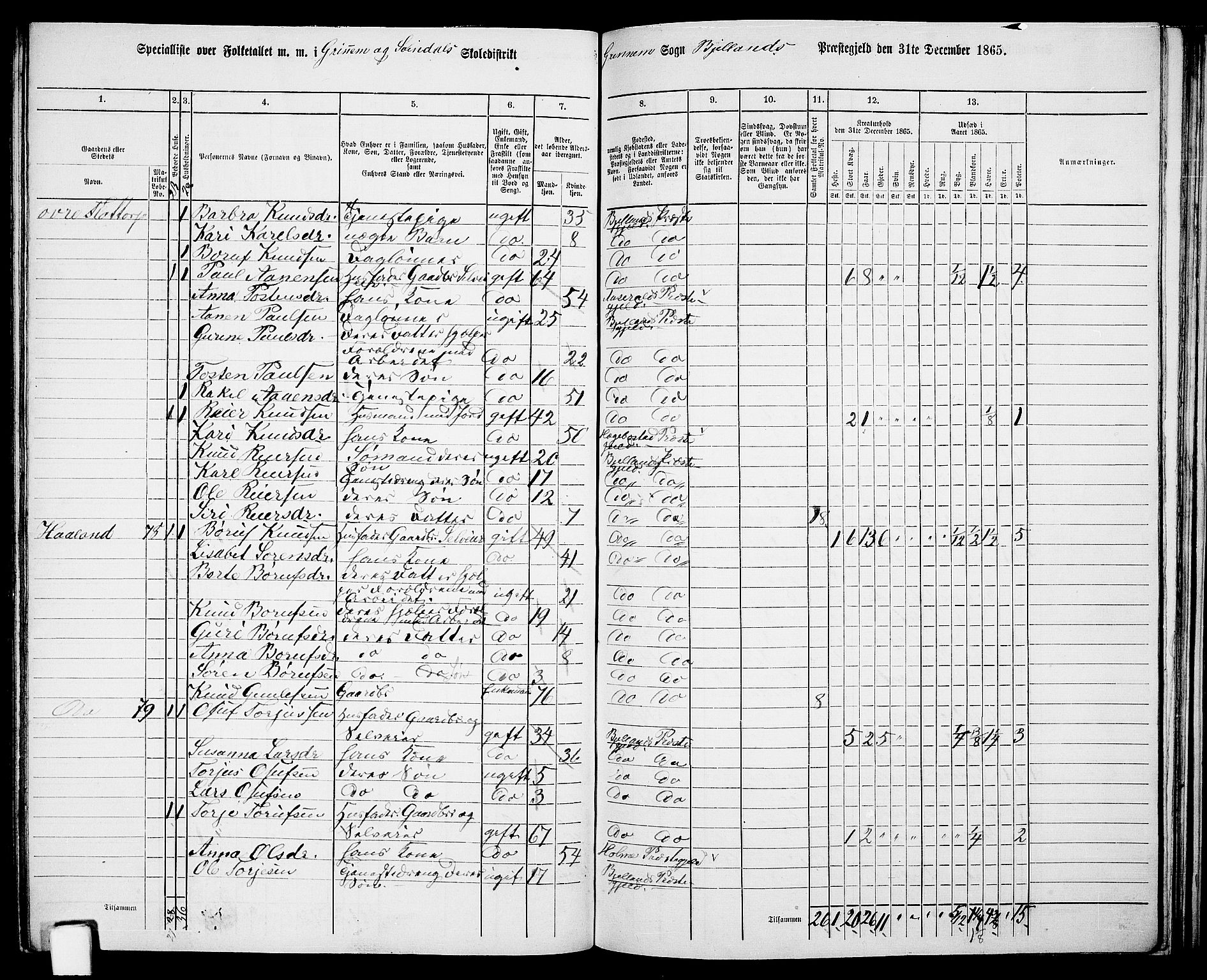 RA, 1865 census for Bjelland, 1865, p. 65