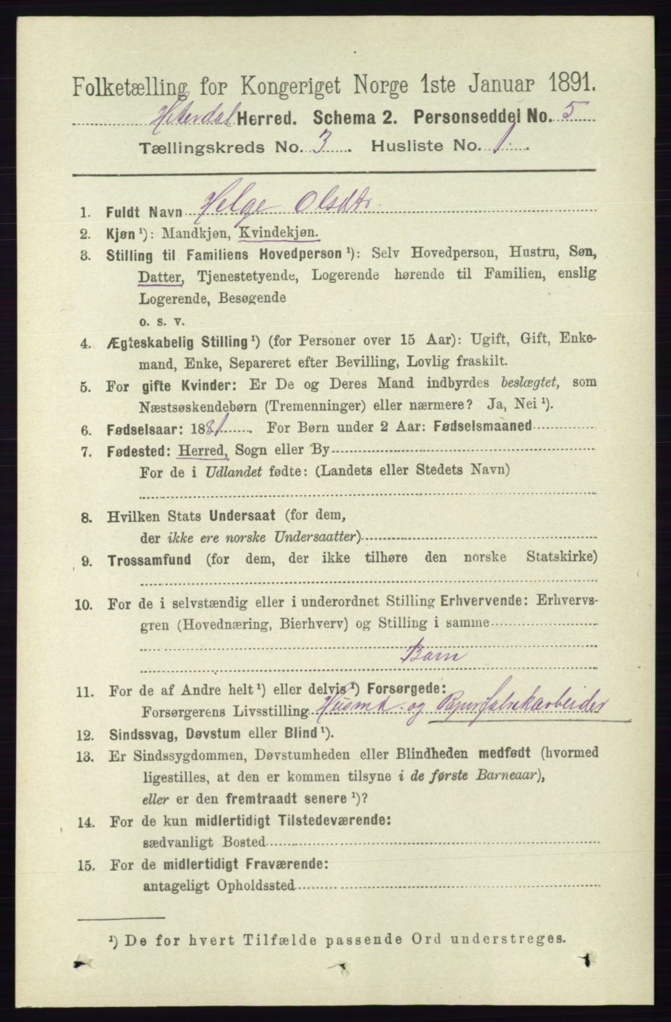 RA, 1891 census for 0823 Heddal, 1891, p. 1004