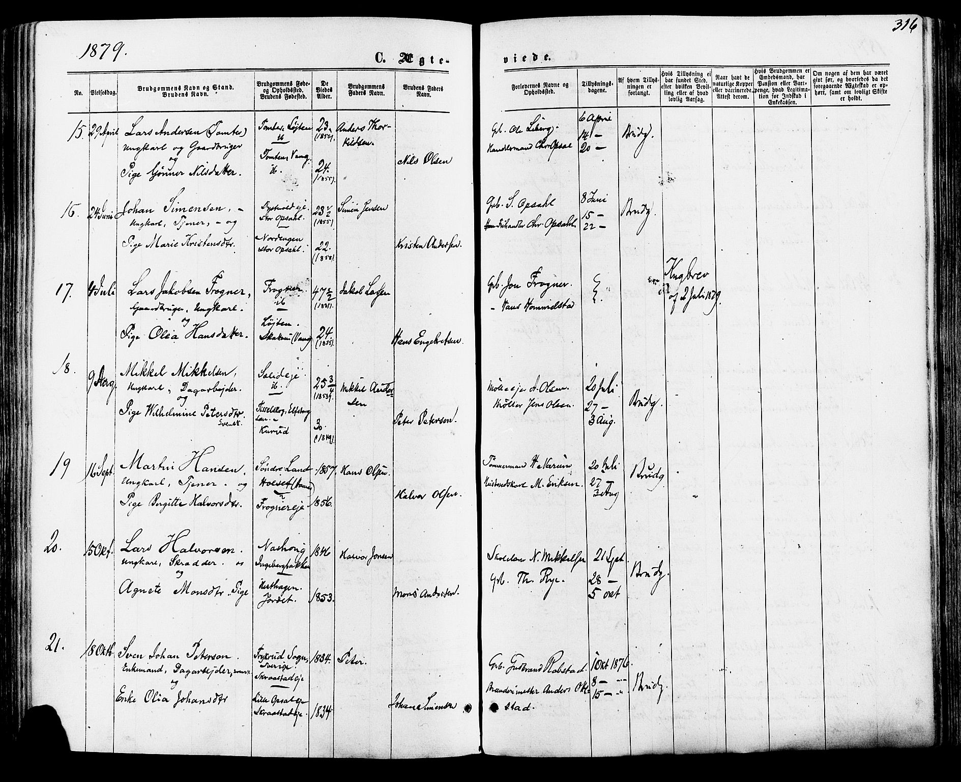 Vang prestekontor, Hedmark, AV/SAH-PREST-008/H/Ha/Haa/L0015: Parish register (official) no. 15, 1871-1885, p. 316