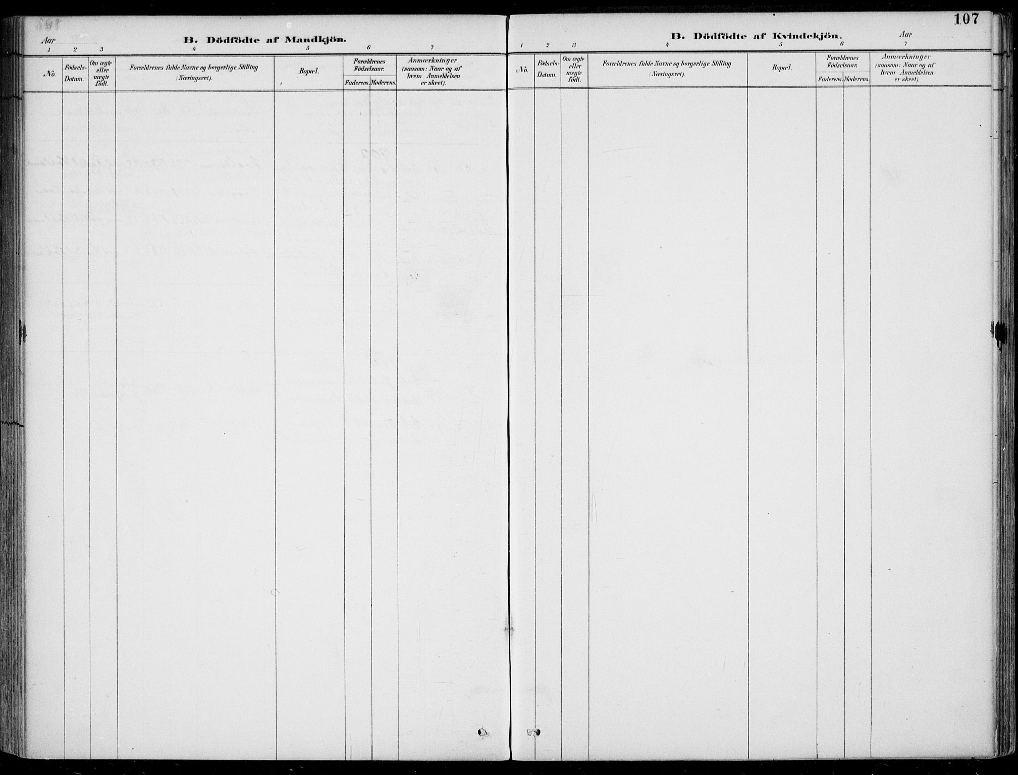 Selje sokneprestembete, AV/SAB-A-99938/H/Ha/Haa/Haac/L0002: Parish register (official) no. C  2, 1889-1904, p. 107