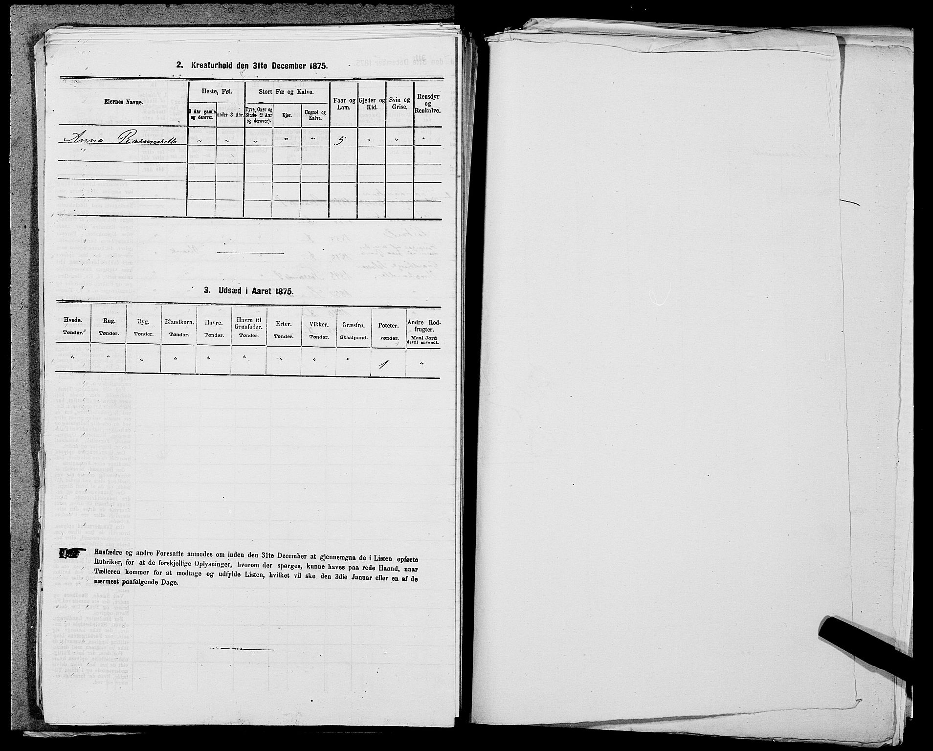 SAST, 1875 census for 1130P Strand, 1875, p. 336