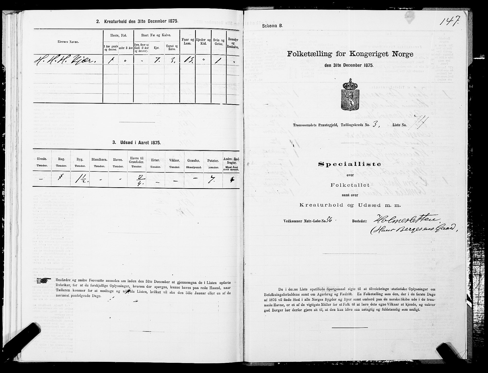 SATØ, 1875 census for 1934P Tromsøysund, 1875, p. 2147