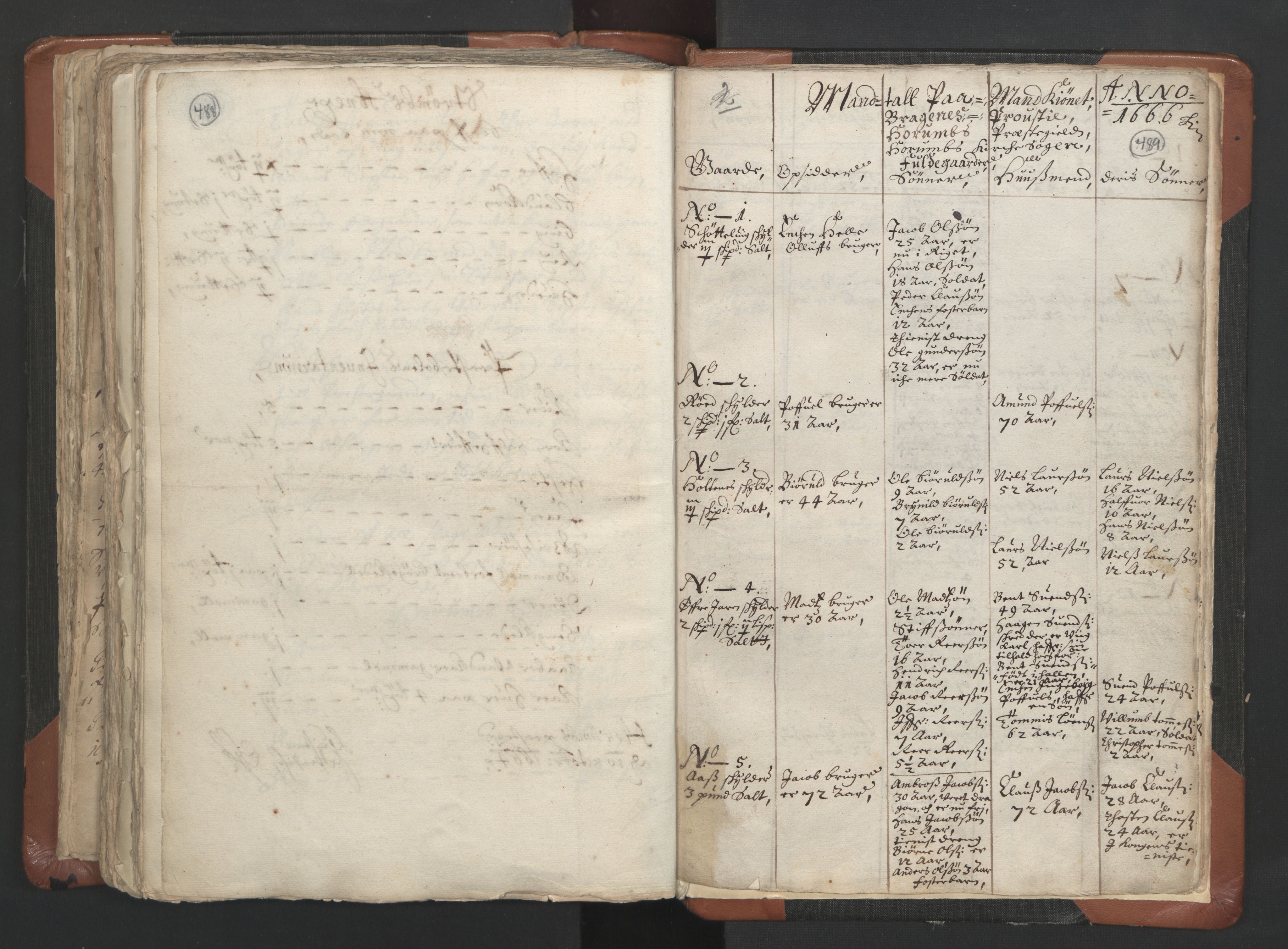 RA, Vicar's Census 1664-1666, no. 9: Bragernes deanery, 1664-1666, p. 488-489