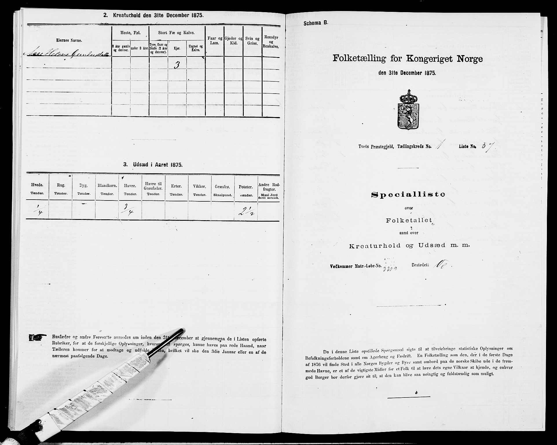 SAK, 1875 census for 1013P Tveit, 1875, p. 169