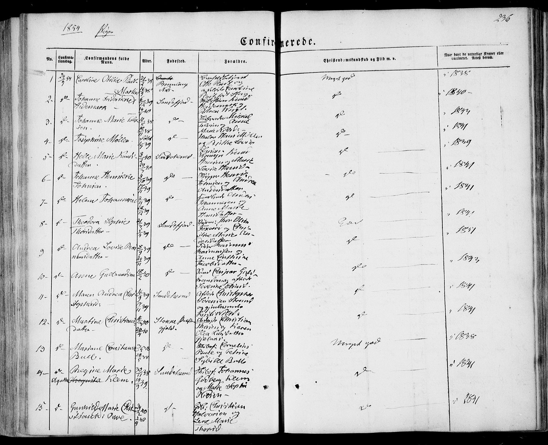 Sandar kirkebøker, SAKO/A-243/F/Fa/L0006: Parish register (official) no. 6, 1847-1860, p. 236