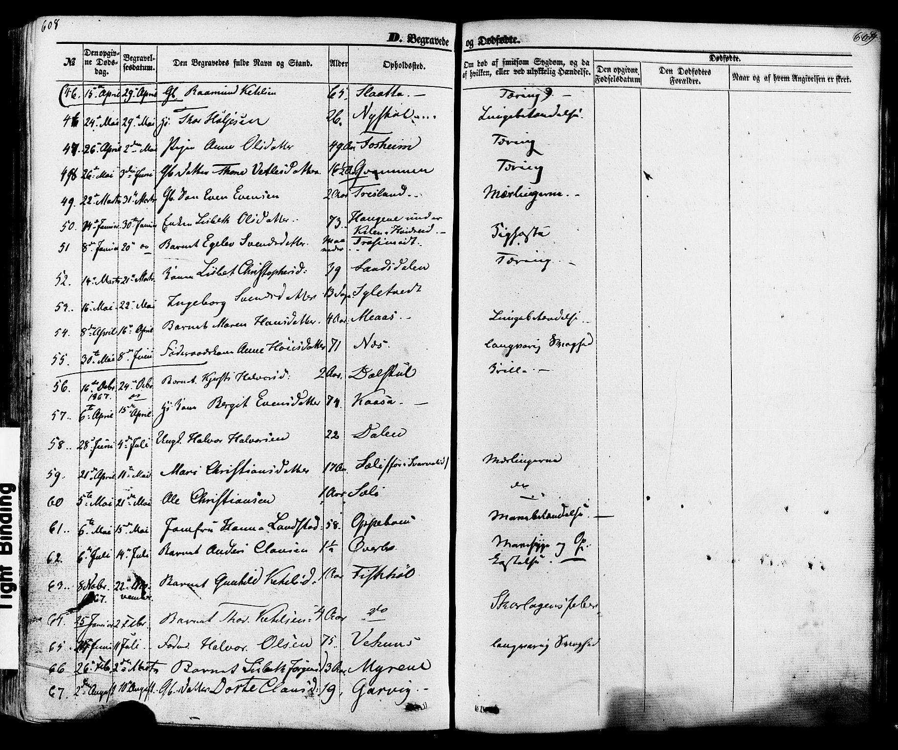 Seljord kirkebøker, AV/SAKO-A-20/F/Fa/L0013: Parish register (official) no. I 13, 1866-1876, p. 608-609