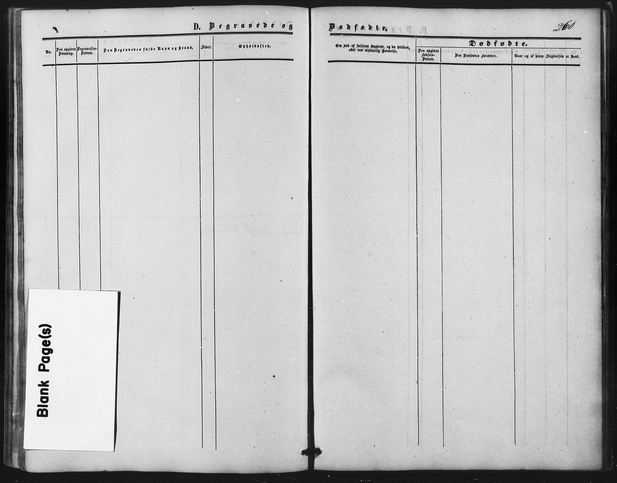 Nes prestekontor Kirkebøker, SAO/A-10410/F/Fb/L0001: Parish register (official) no. II 1, 1859-1882, p. 260