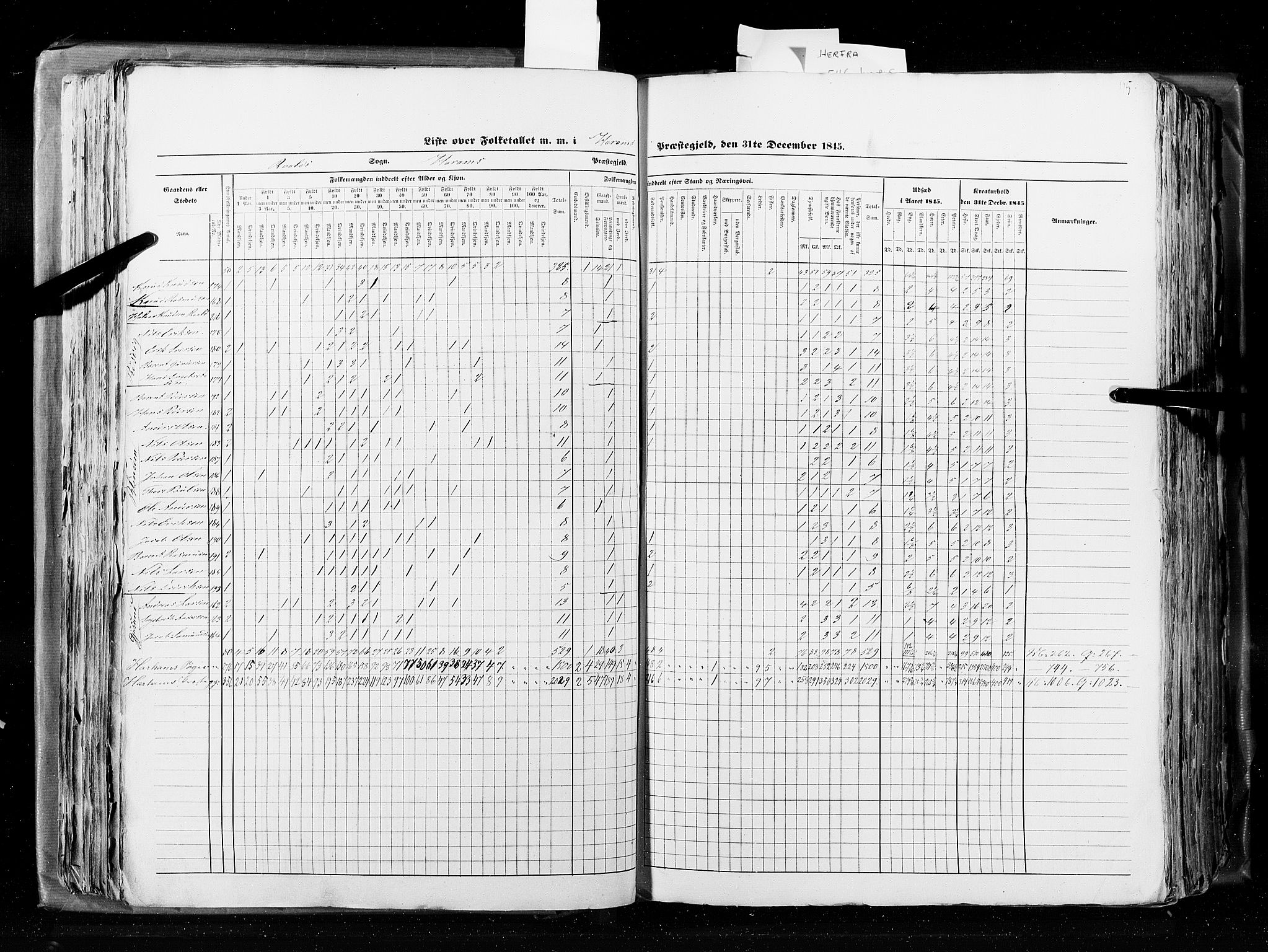 RA, Census 1845, vol. 8: Romsdal amt og Søndre Trondhjems amt, 1845, p. 115