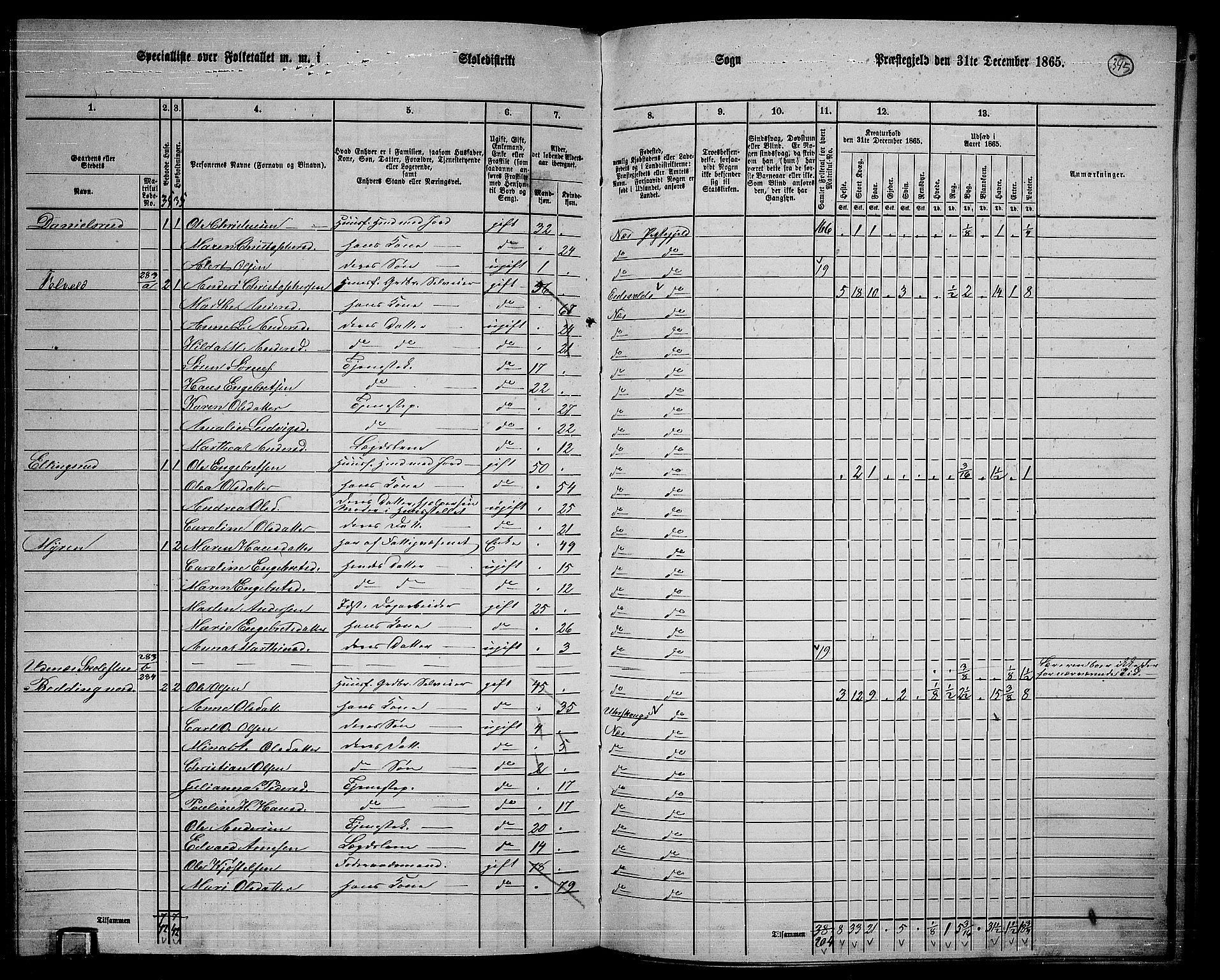 RA, 1865 census for Nes, 1865, p. 315