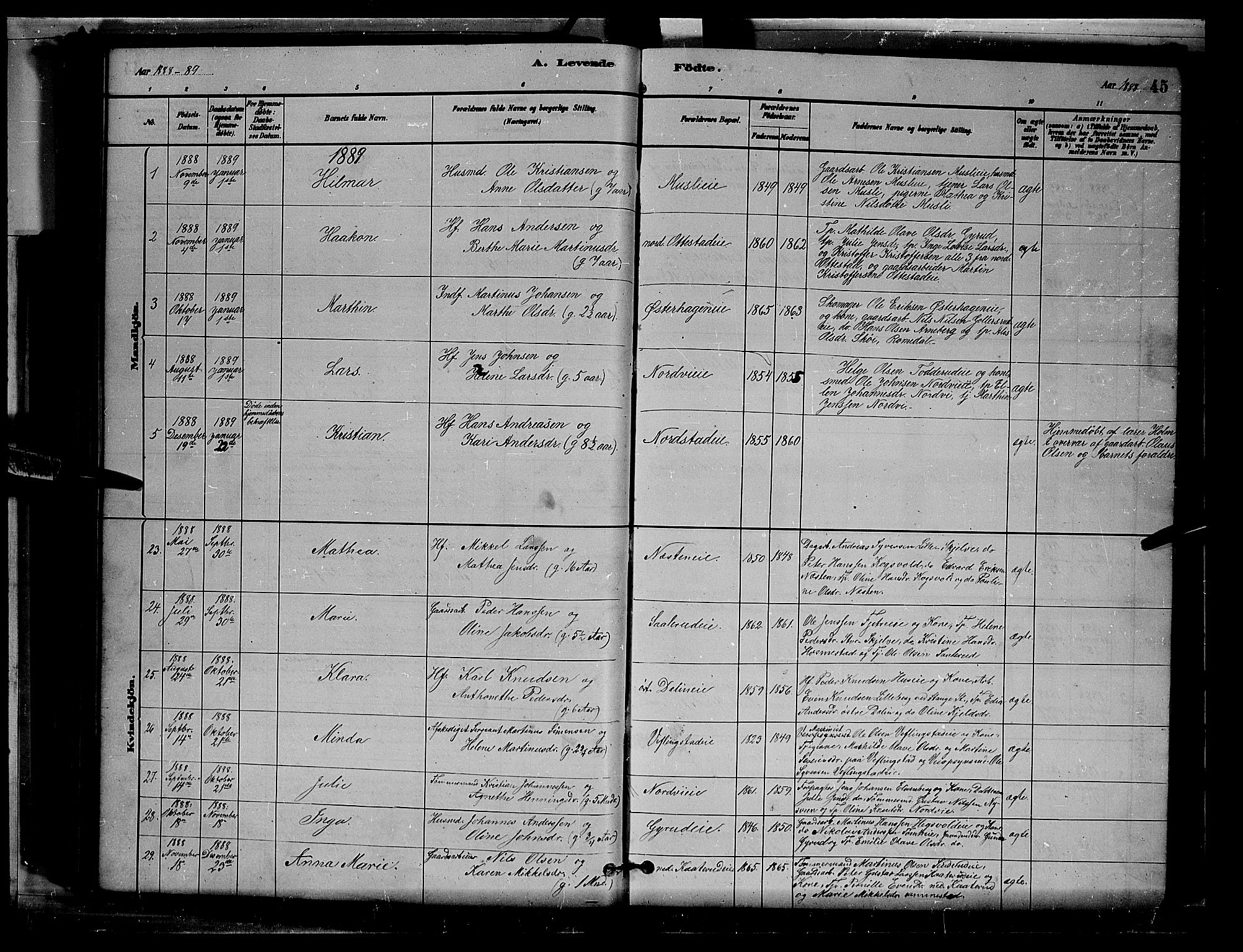 Stange prestekontor, SAH/PREST-002/L/L0007: Parish register (copy) no. 7, 1880-1893, p. 45