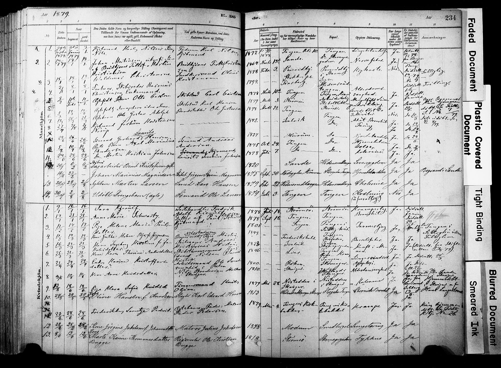 Strømsø kirkebøker, SAKO/A-246/F/Fb/L0006: Parish register (official) no. II 6, 1879-1910, p. 234