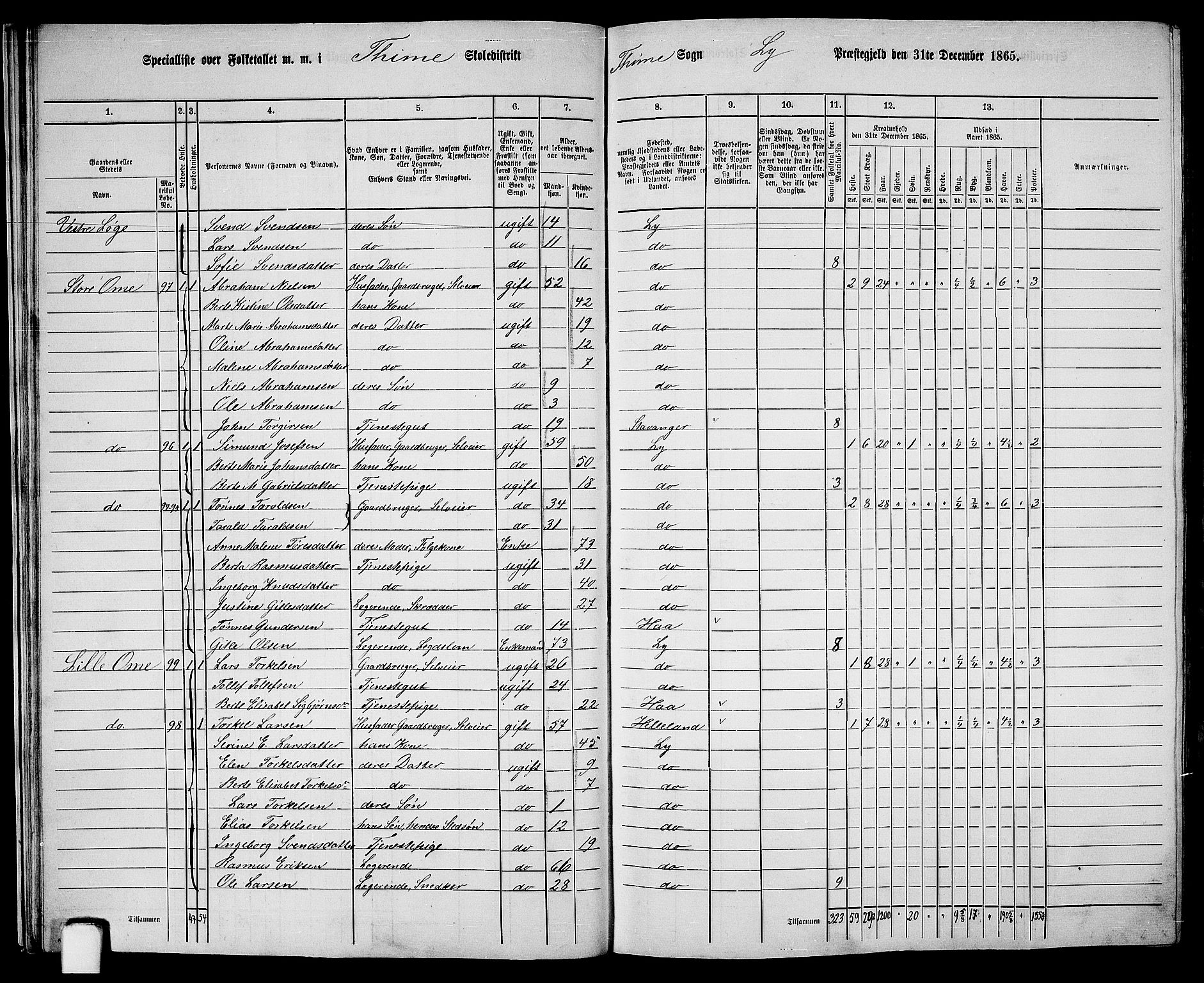 RA, 1865 census for Lye, 1865, p. 24