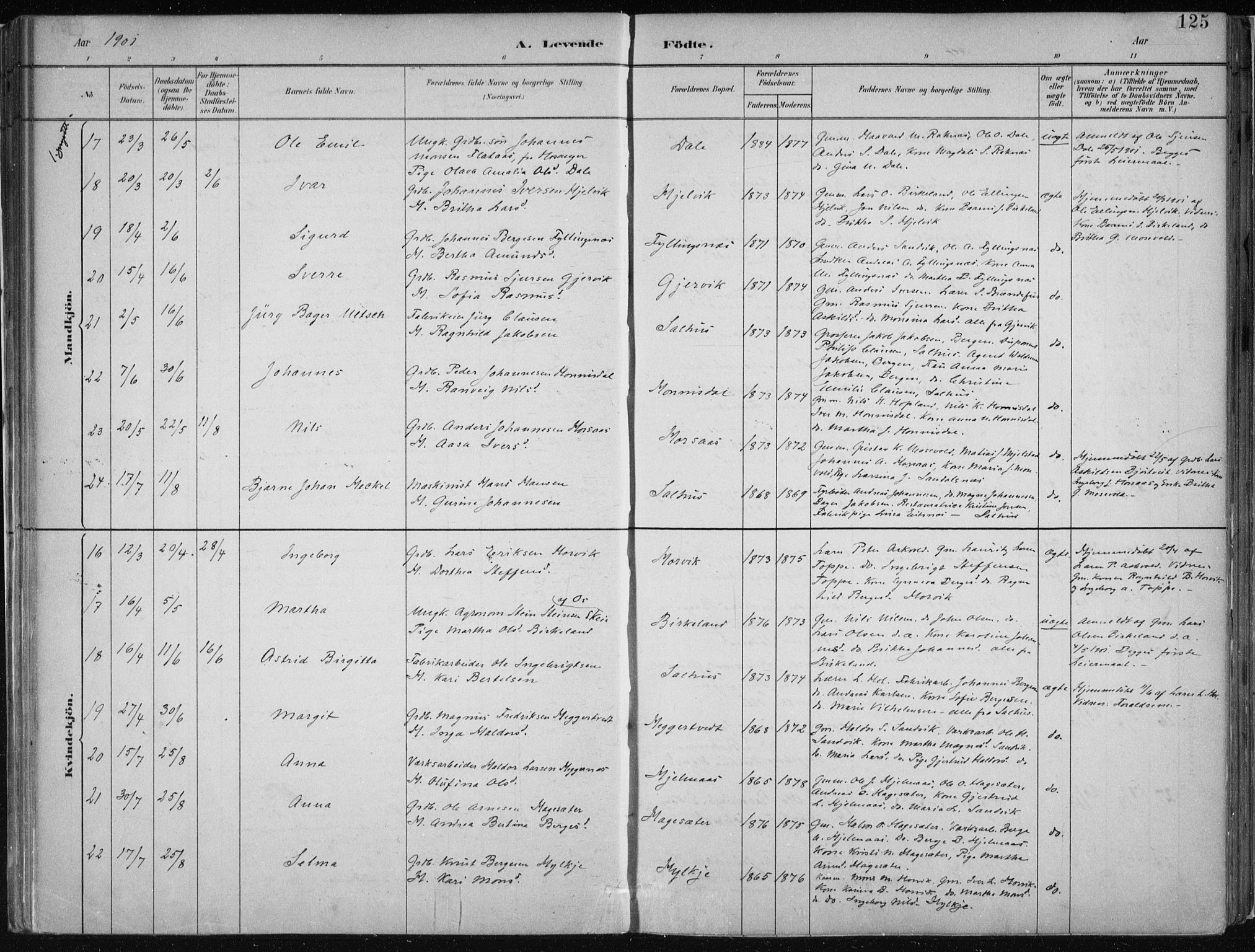 Hamre sokneprestembete, AV/SAB-A-75501/H/Ha/Haa/Haab/L0001: Parish register (official) no. B  1, 1882-1905, p. 125