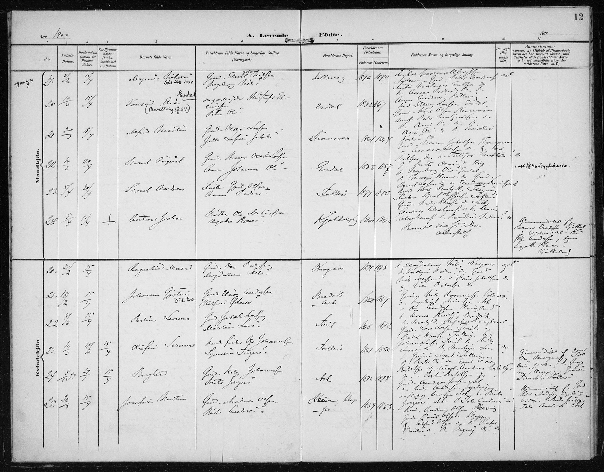 Askøy Sokneprestembete, AV/SAB-A-74101/H/Ha/Haa/Haac/L0001: Parish register (official) no. C 1, 1899-1905, p. 12