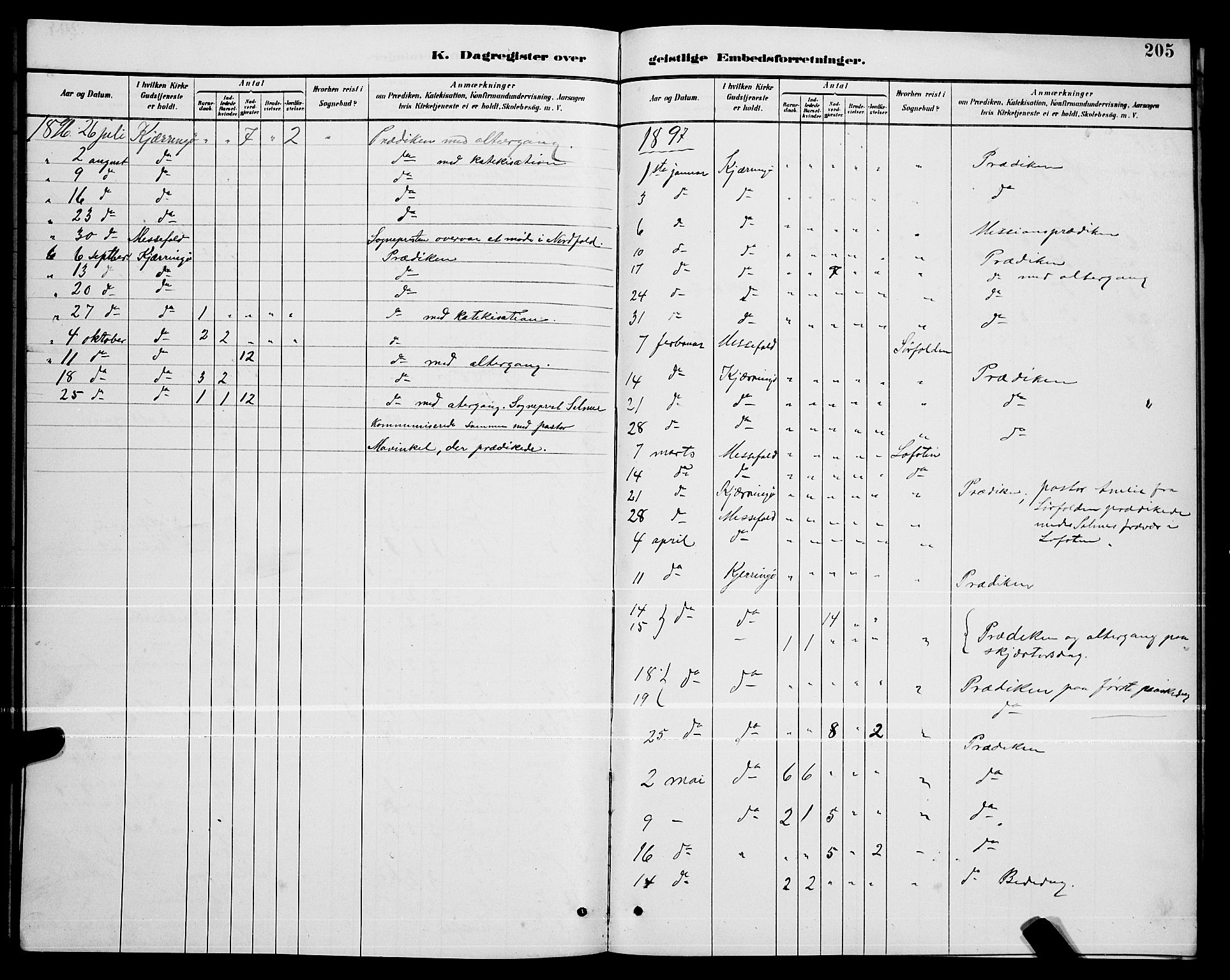 Ministerialprotokoller, klokkerbøker og fødselsregistre - Nordland, AV/SAT-A-1459/803/L0076: Parish register (copy) no. 803C03, 1882-1897, p. 205