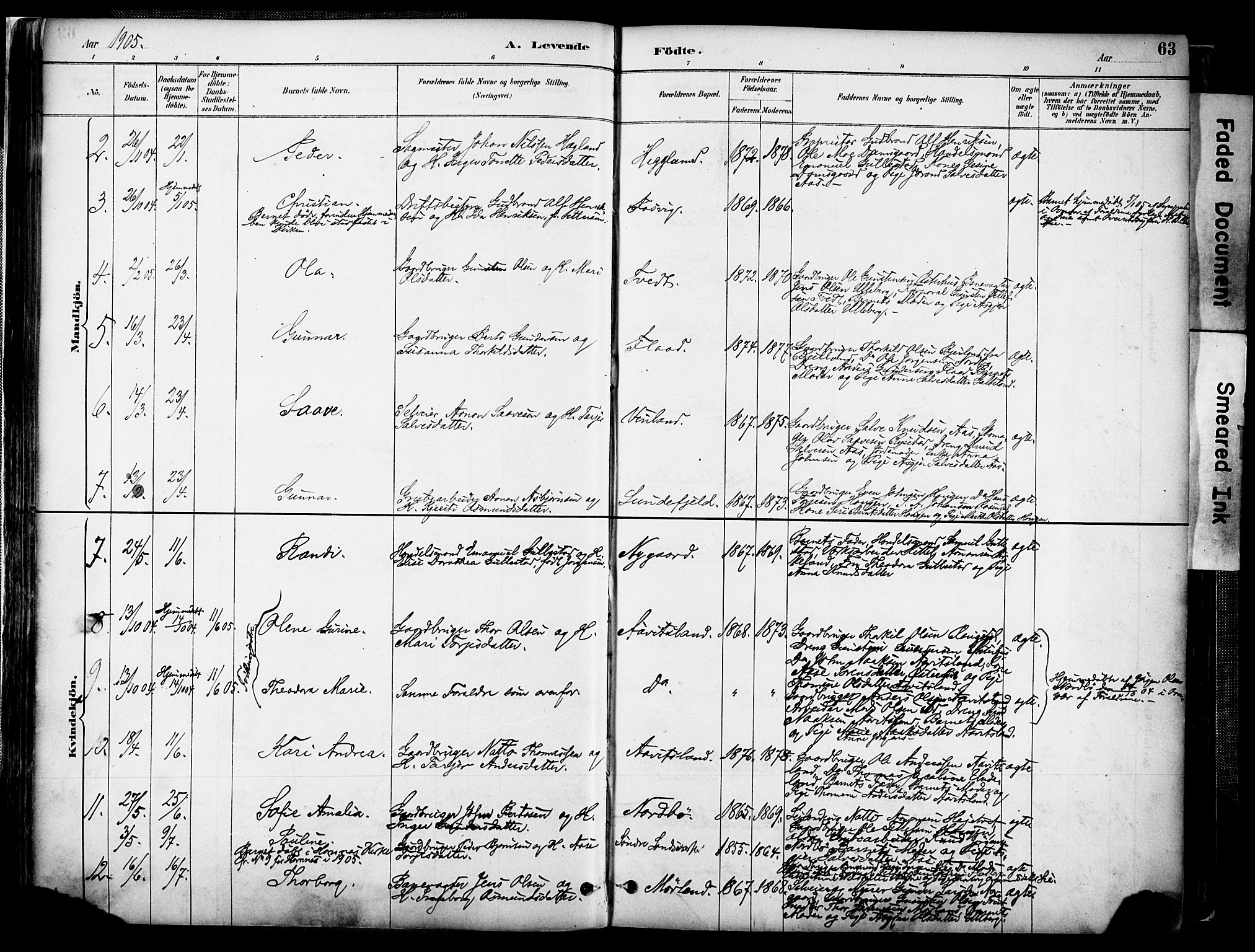 Evje sokneprestkontor, AV/SAK-1111-0008/F/Fa/Faa/L0007: Parish register (official) no. A 7, 1884-1909, p. 63