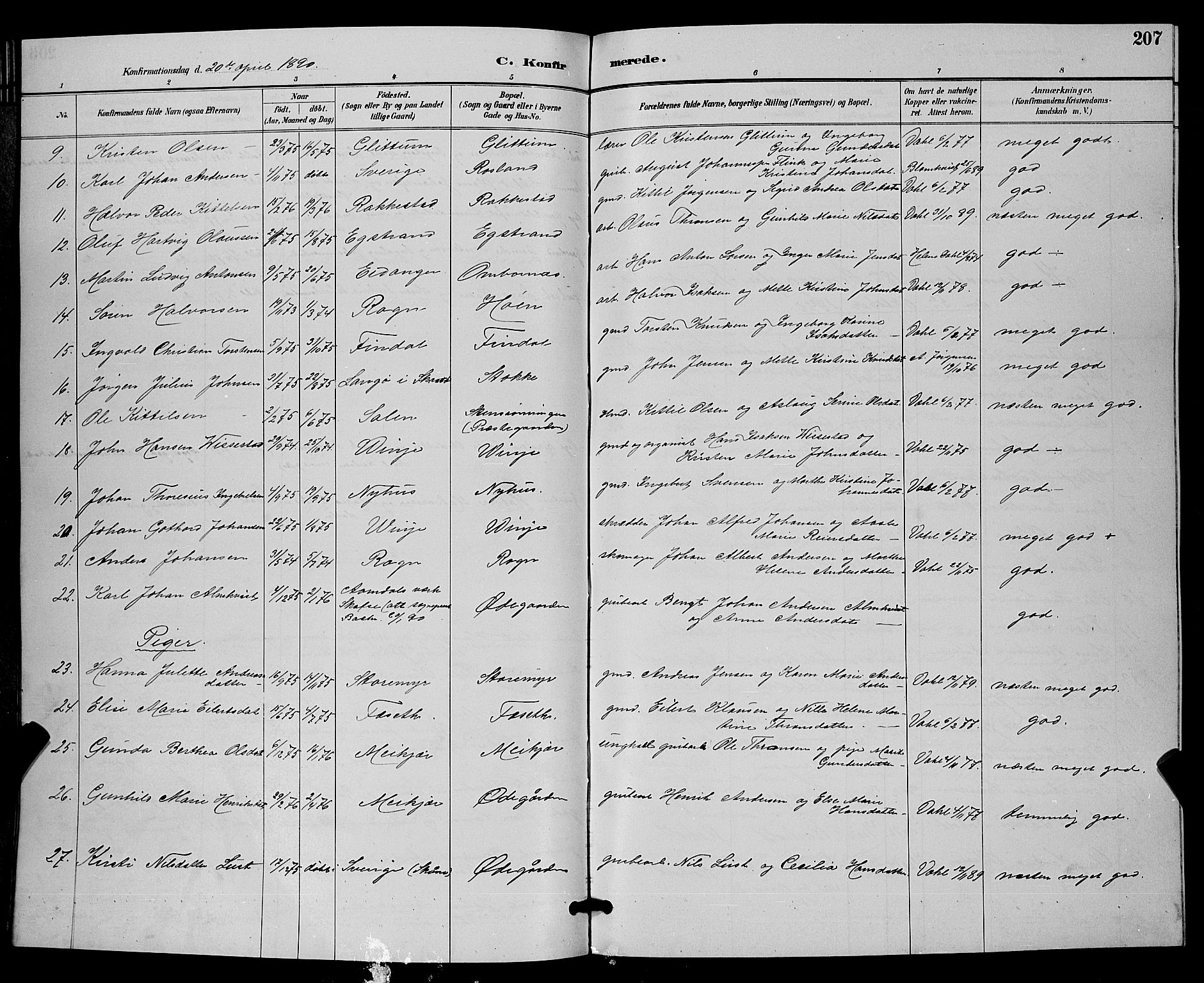 Bamble kirkebøker, AV/SAKO-A-253/G/Ga/L0009: Parish register (copy) no. I 9, 1888-1900, p. 207