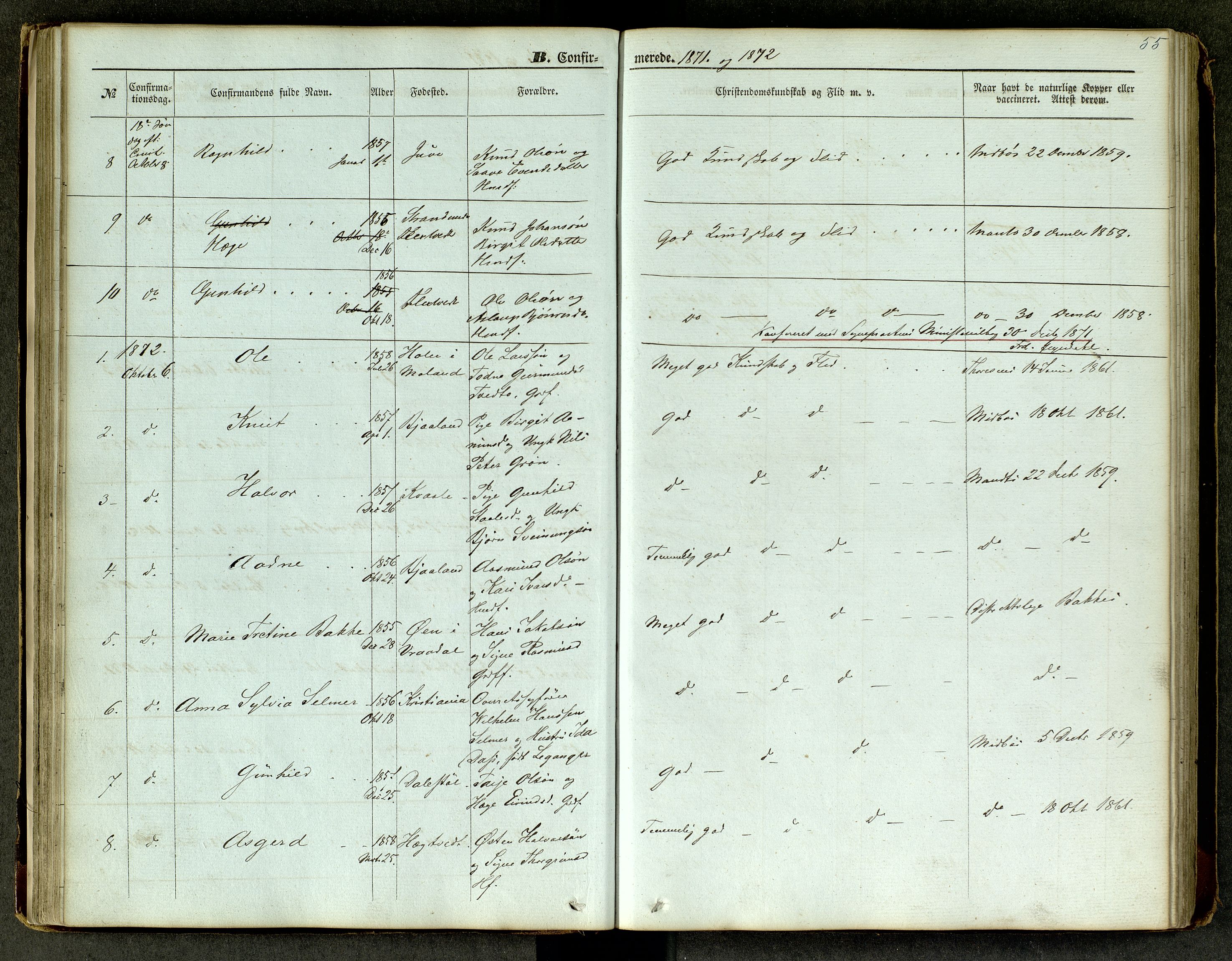 Lårdal kirkebøker, SAKO/A-284/G/Ga/L0002: Parish register (copy) no. I 2, 1861-1890, p. 55