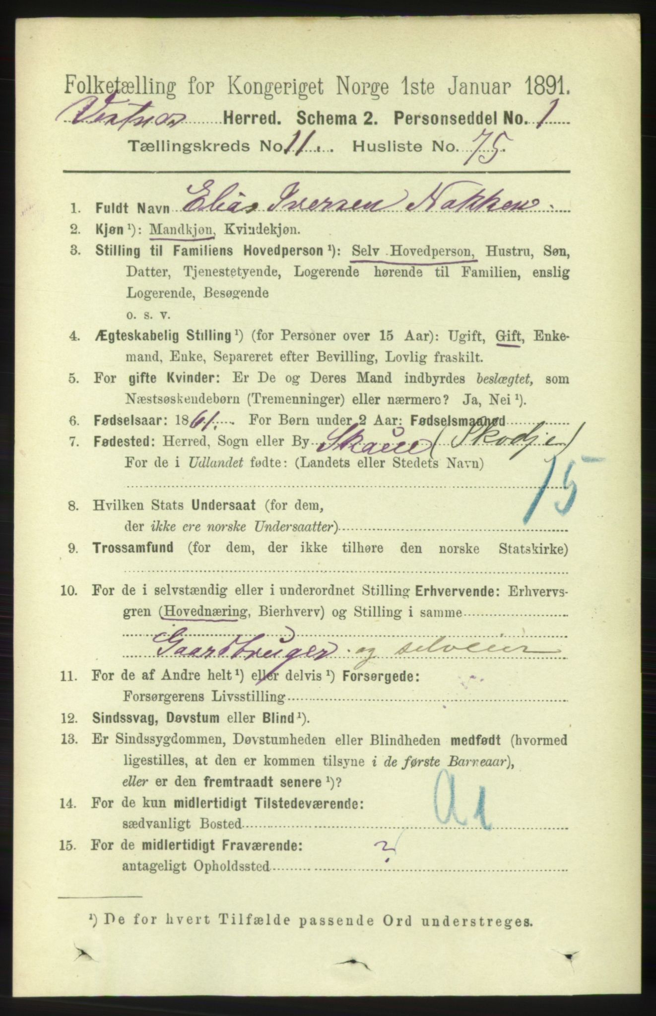 RA, 1891 census for 1535 Vestnes, 1891, p. 4363