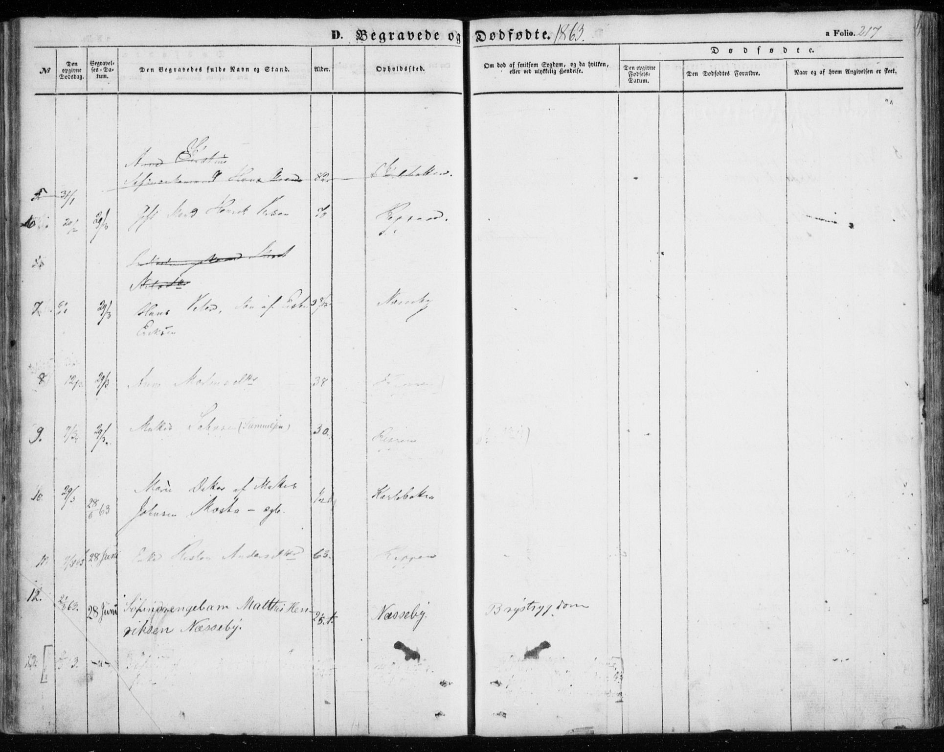 Nesseby sokneprestkontor, SATØ/S-1330/H/Ha/L0002kirke: Parish register (official) no. 2, 1856-1864, p. 217