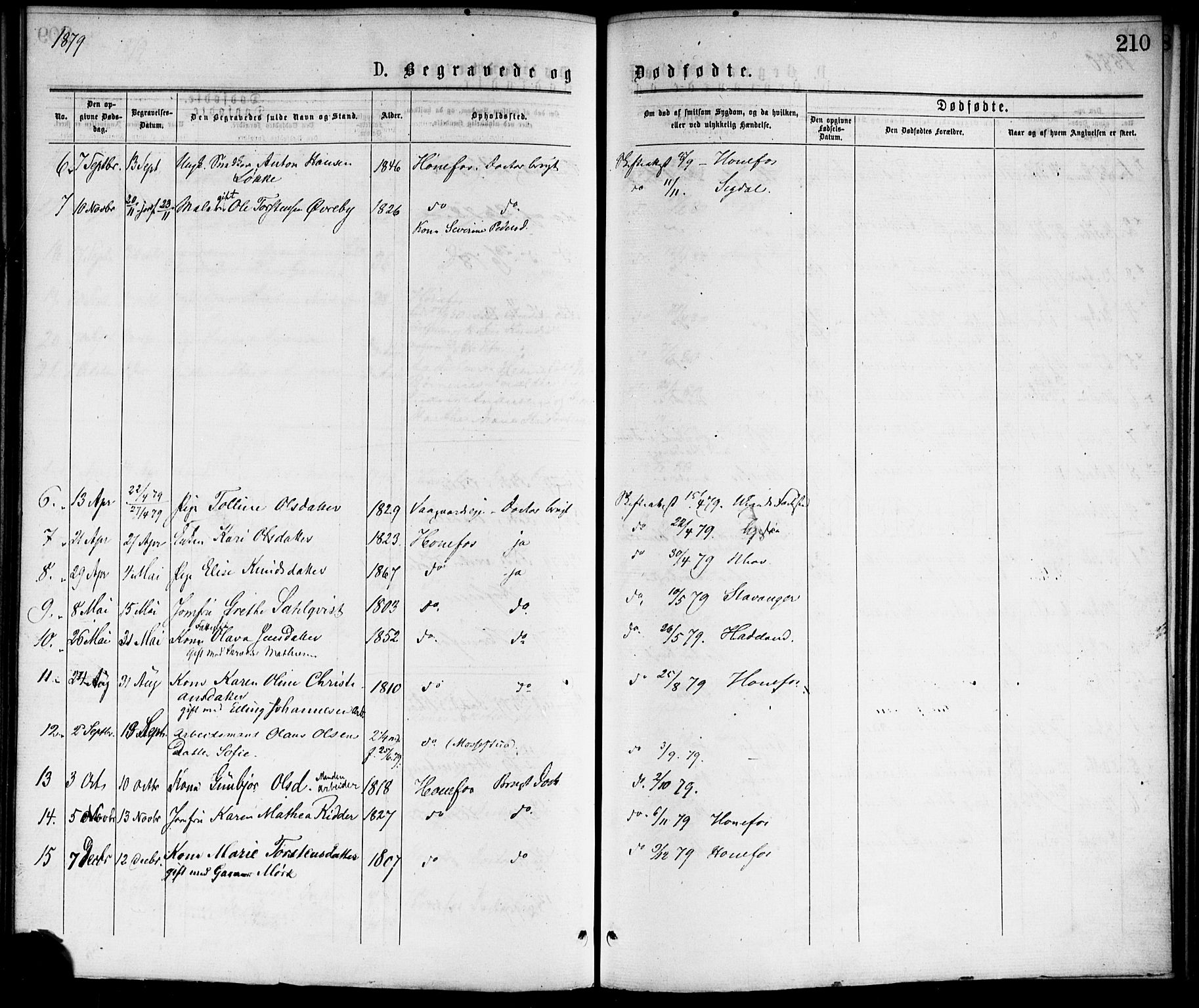 Hønefoss kirkebøker, AV/SAKO-A-609/F/Fa/L0001: Parish register (official) no. 1, 1875-1887, p. 210