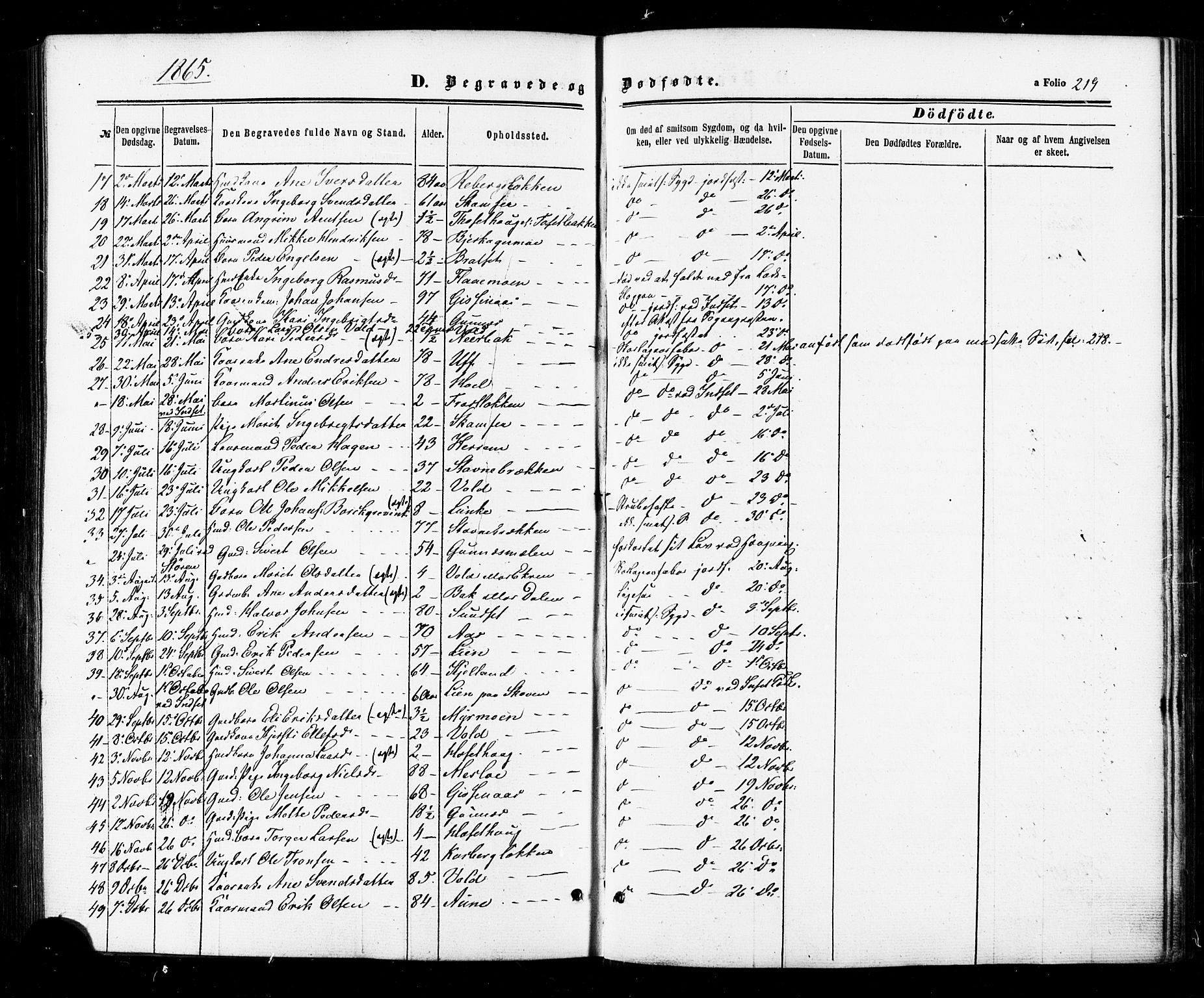 Ministerialprotokoller, klokkerbøker og fødselsregistre - Sør-Trøndelag, AV/SAT-A-1456/674/L0870: Parish register (official) no. 674A02, 1861-1879, p. 219