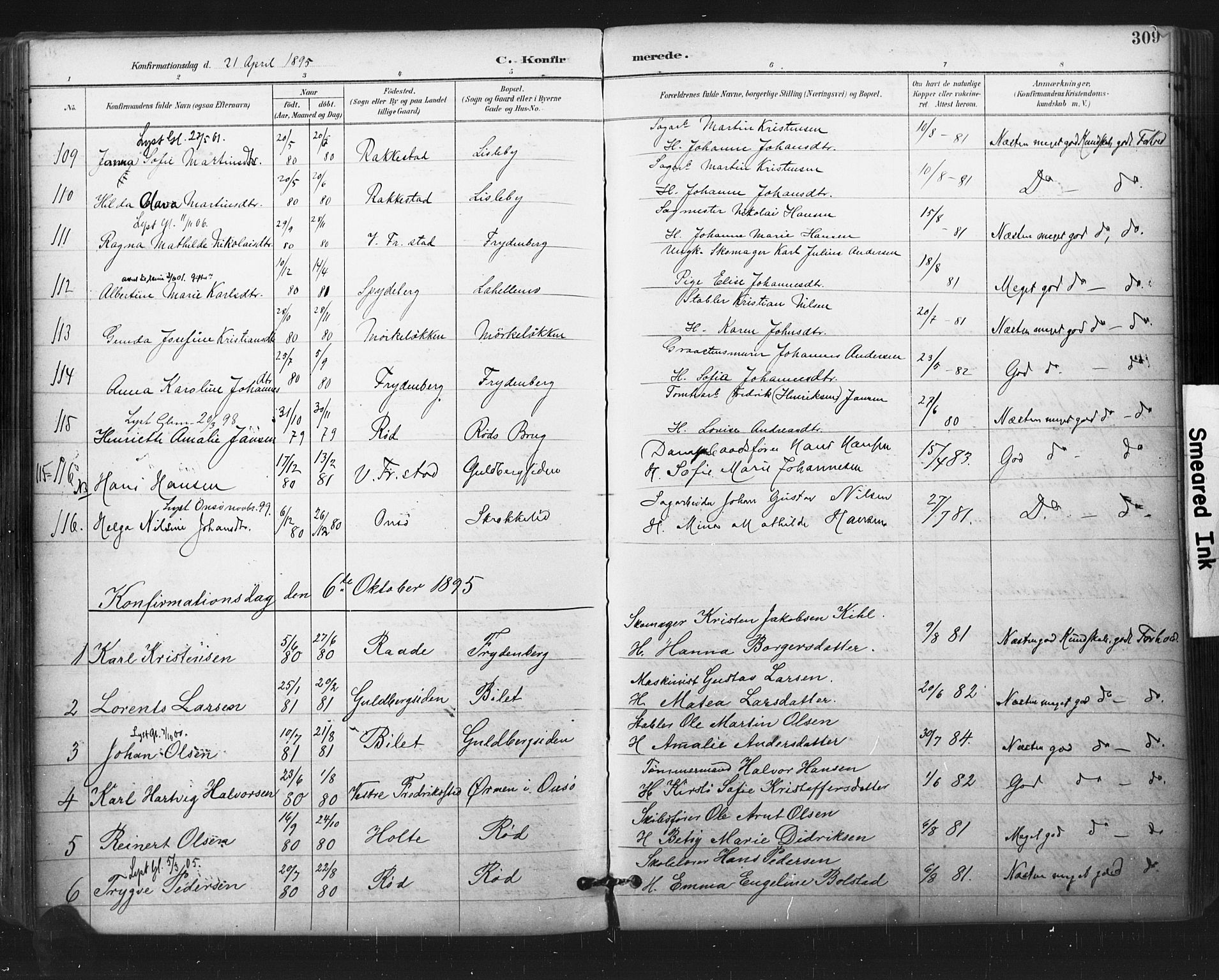 Glemmen prestekontor Kirkebøker, AV/SAO-A-10908/F/Fa/L0013: Parish register (official) no. 13, 1892-1907, p. 309