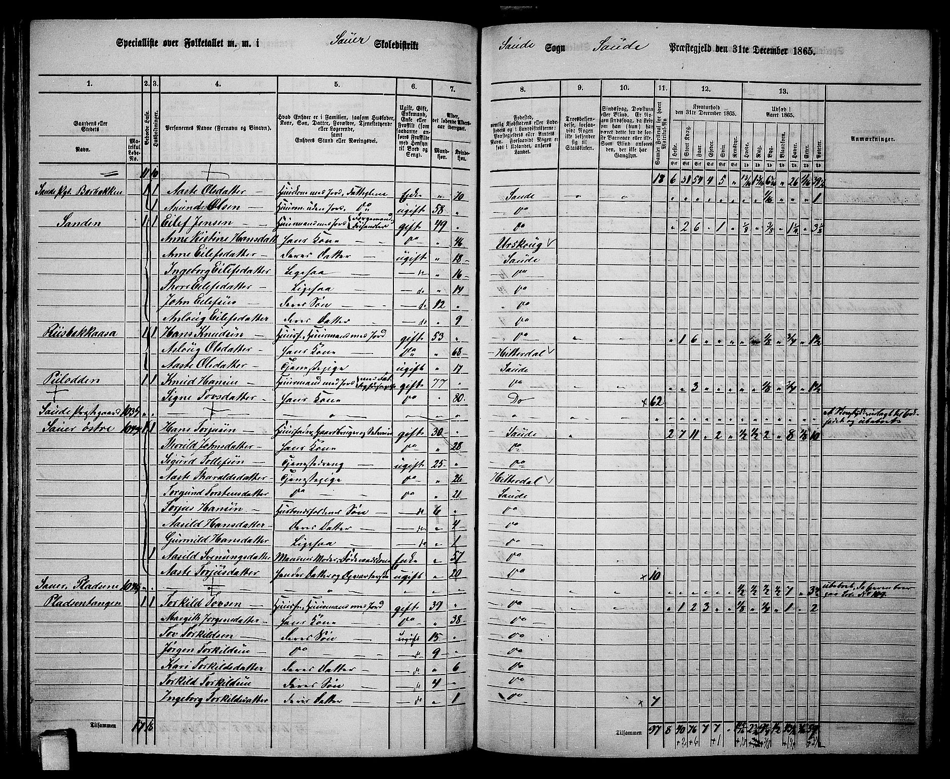 RA, 1865 census for Sauherad, 1865, p. 91