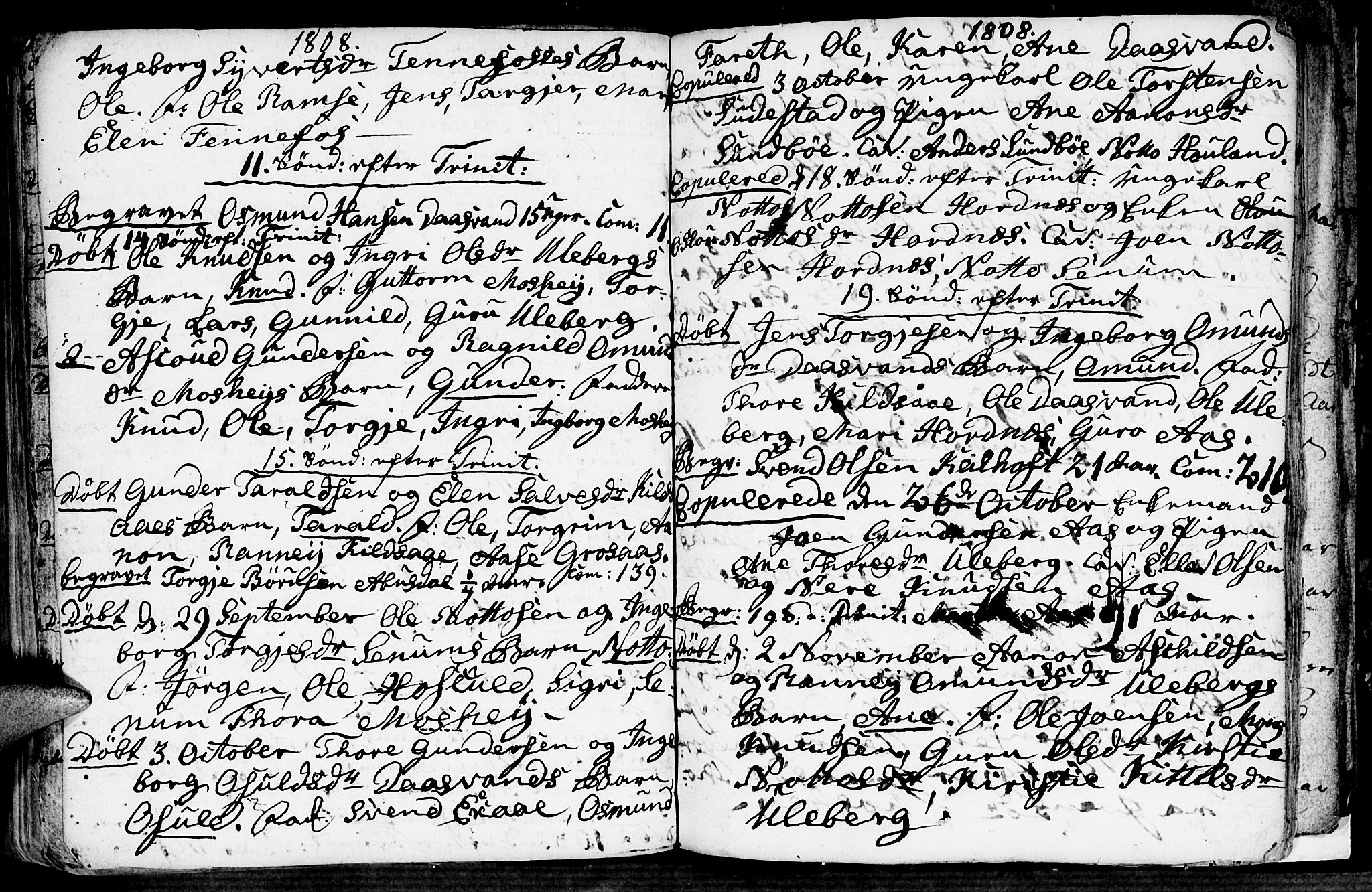 Evje sokneprestkontor, AV/SAK-1111-0008/F/Fa/Fab/L0002: Parish register (official) no. A 2, 1765-1816, p. 113