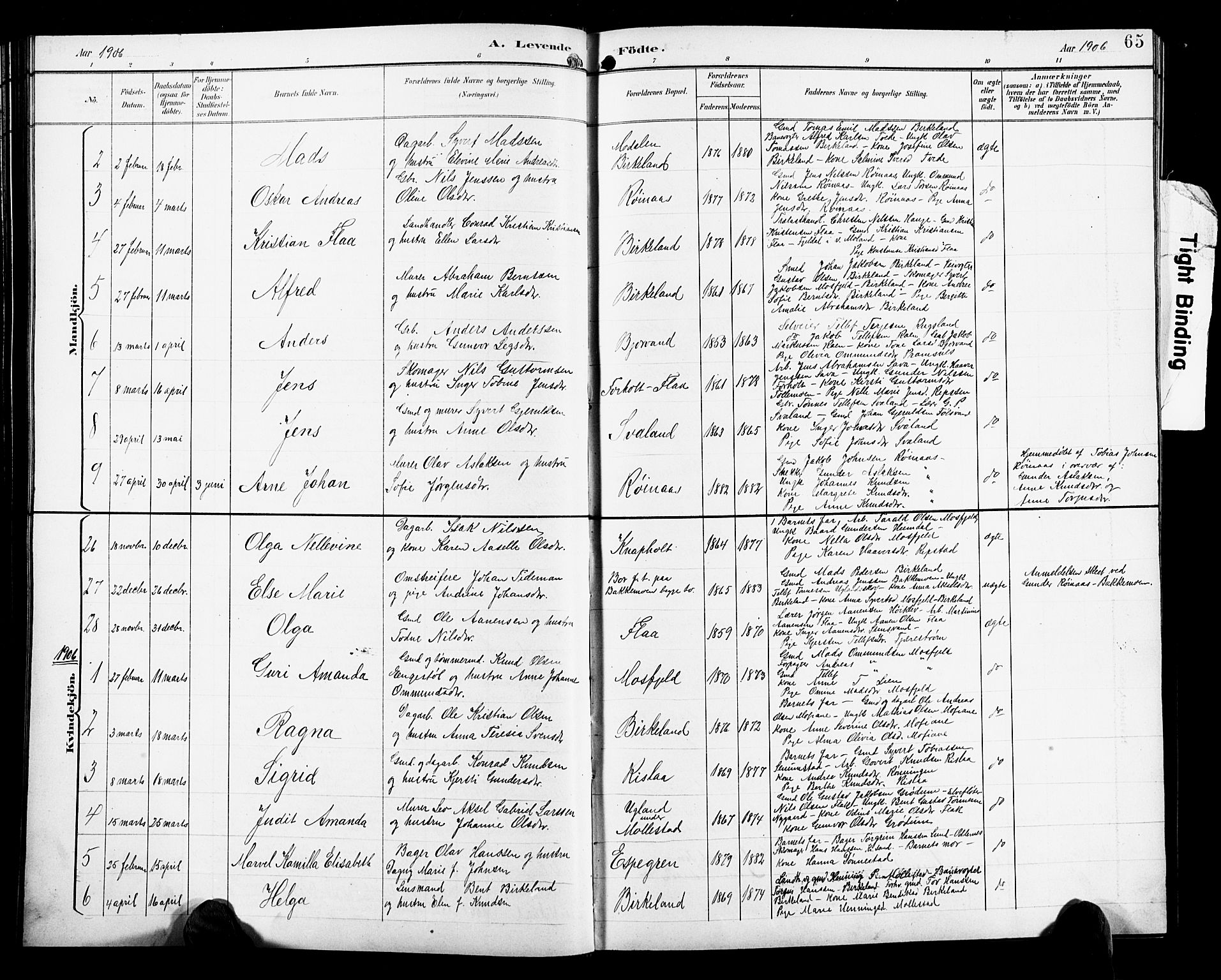 Birkenes sokneprestkontor, SAK/1111-0004/F/Fb/L0004: Parish register (copy) no. B 4, 1893-1930, p. 65