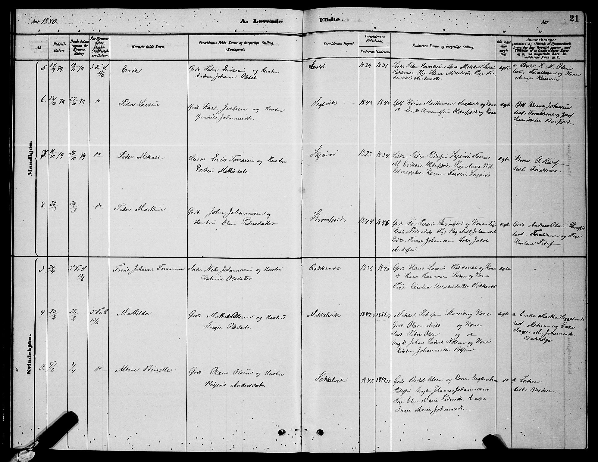 Skjervøy sokneprestkontor, AV/SATØ-S-1300/H/Ha/Hab/L0006klokker: Parish register (copy) no. 6, 1878-1888, p. 21