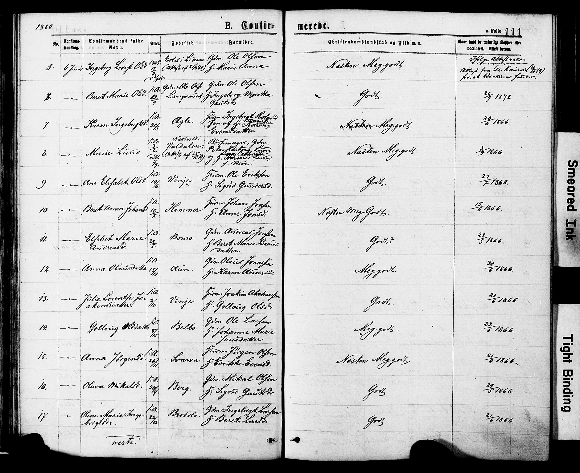 Ministerialprotokoller, klokkerbøker og fødselsregistre - Nord-Trøndelag, AV/SAT-A-1458/749/L0473: Parish register (official) no. 749A07, 1873-1887, p. 111