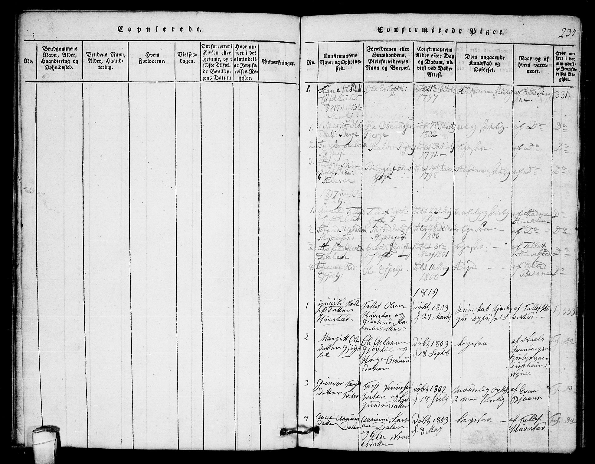 Lårdal kirkebøker, SAKO/A-284/G/Gb/L0001: Parish register (copy) no. II 1, 1815-1865, p. 234