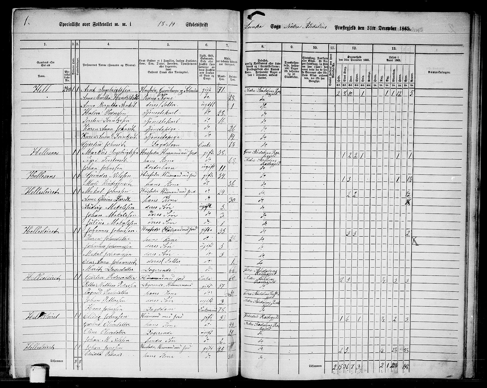 RA, 1865 census for Nedre Stjørdal, 1865, p. 284