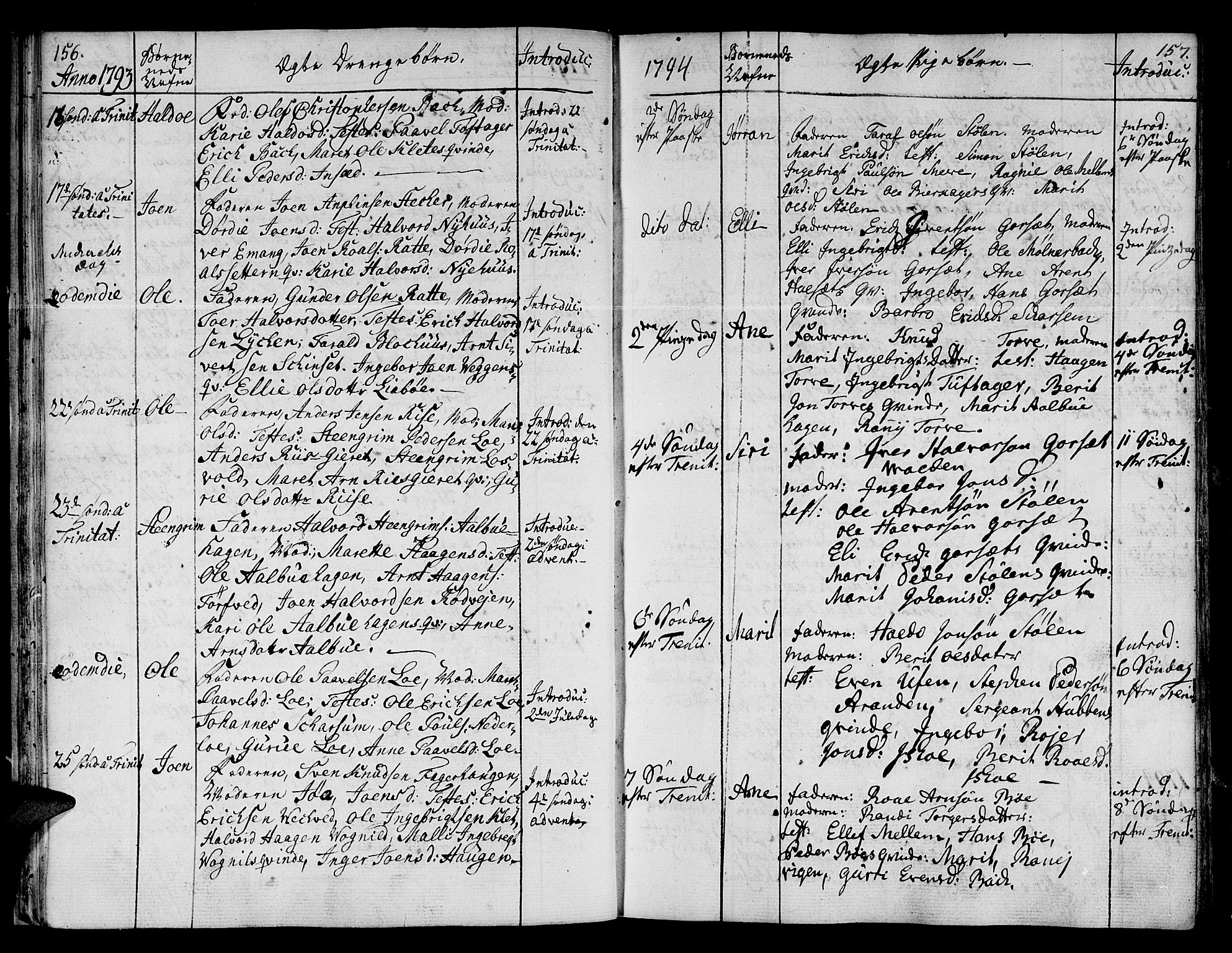 Ministerialprotokoller, klokkerbøker og fødselsregistre - Sør-Trøndelag, SAT/A-1456/678/L0893: Parish register (official) no. 678A03, 1792-1805, p. 156-157