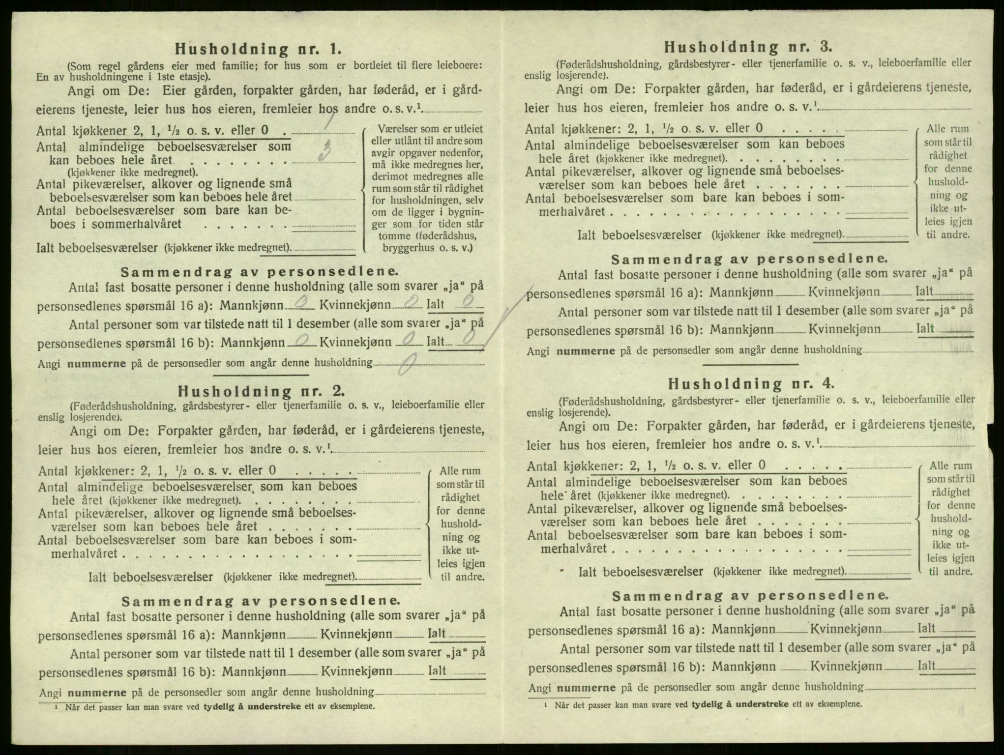 SAKO, 1920 census for Strømm, 1920, p. 228