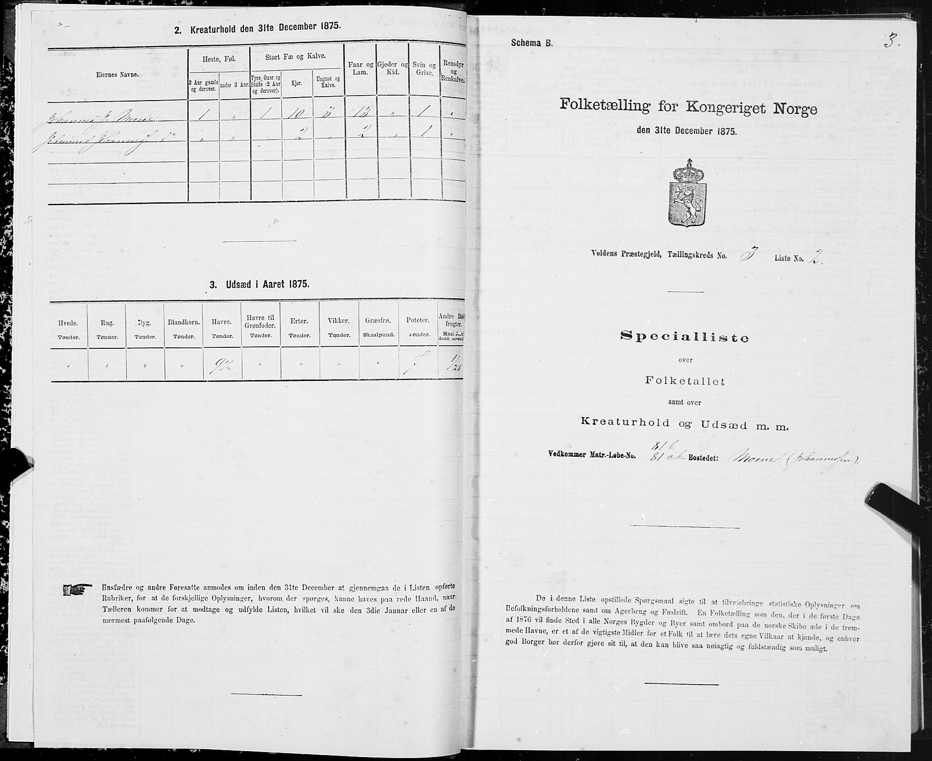 SAT, 1875 census for 1519P Volda, 1875, p. 3003