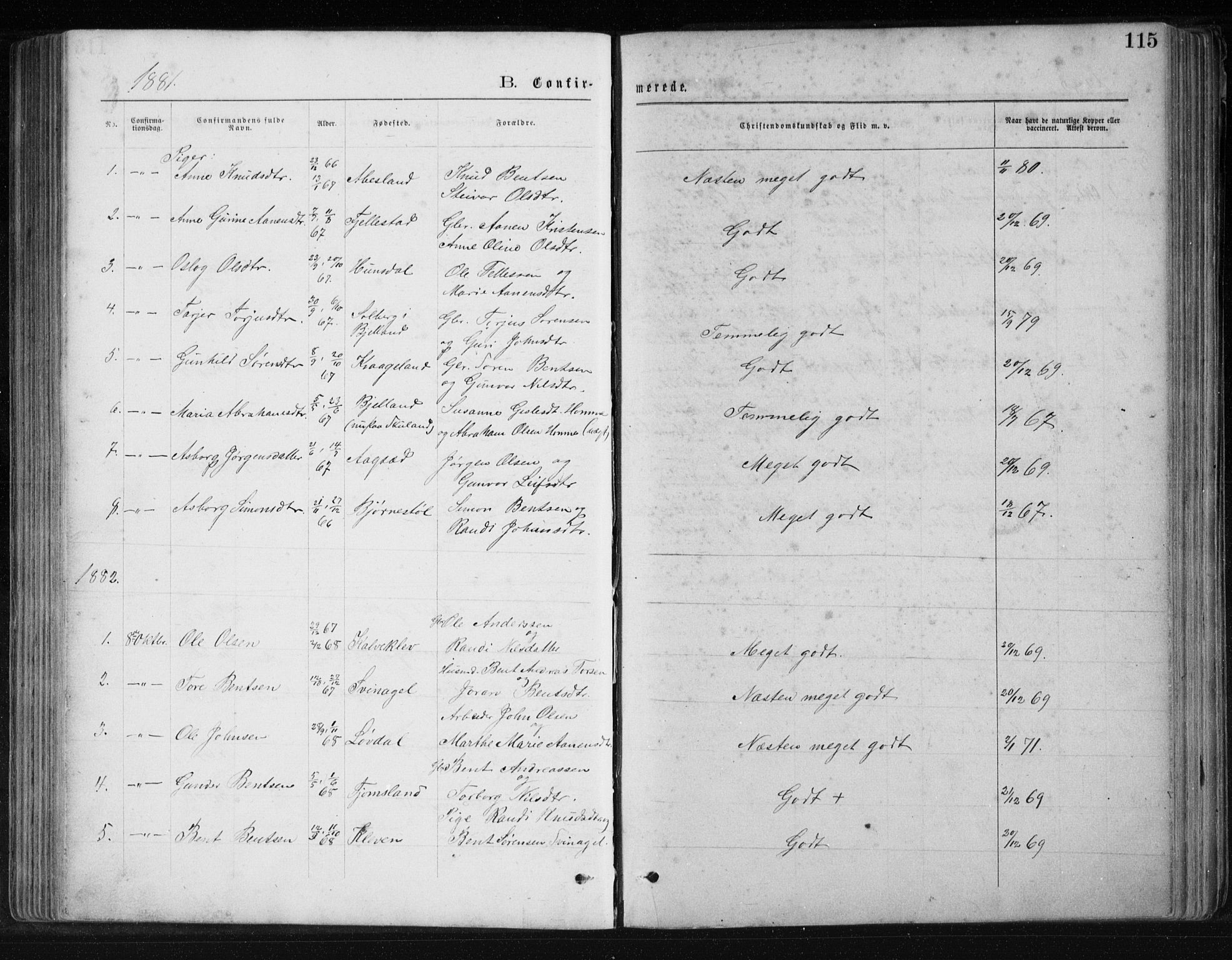 Holum sokneprestkontor, SAK/1111-0022/F/Fb/Fbb/L0003: Parish register (copy) no. B 3, 1875-1898, p. 115