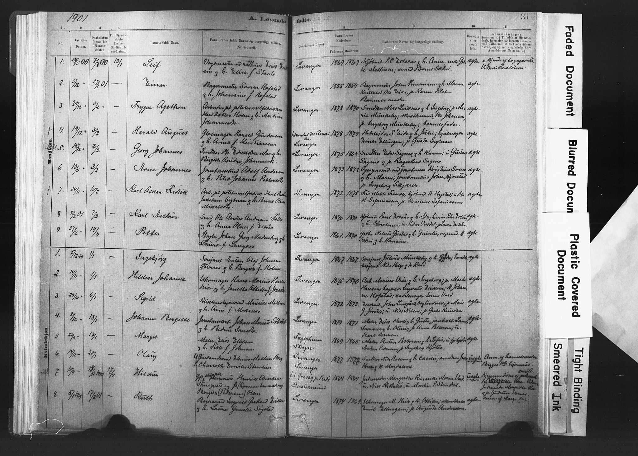 Ministerialprotokoller, klokkerbøker og fødselsregistre - Nord-Trøndelag, SAT/A-1458/720/L0189: Parish register (official) no. 720A05, 1880-1911, p. 31