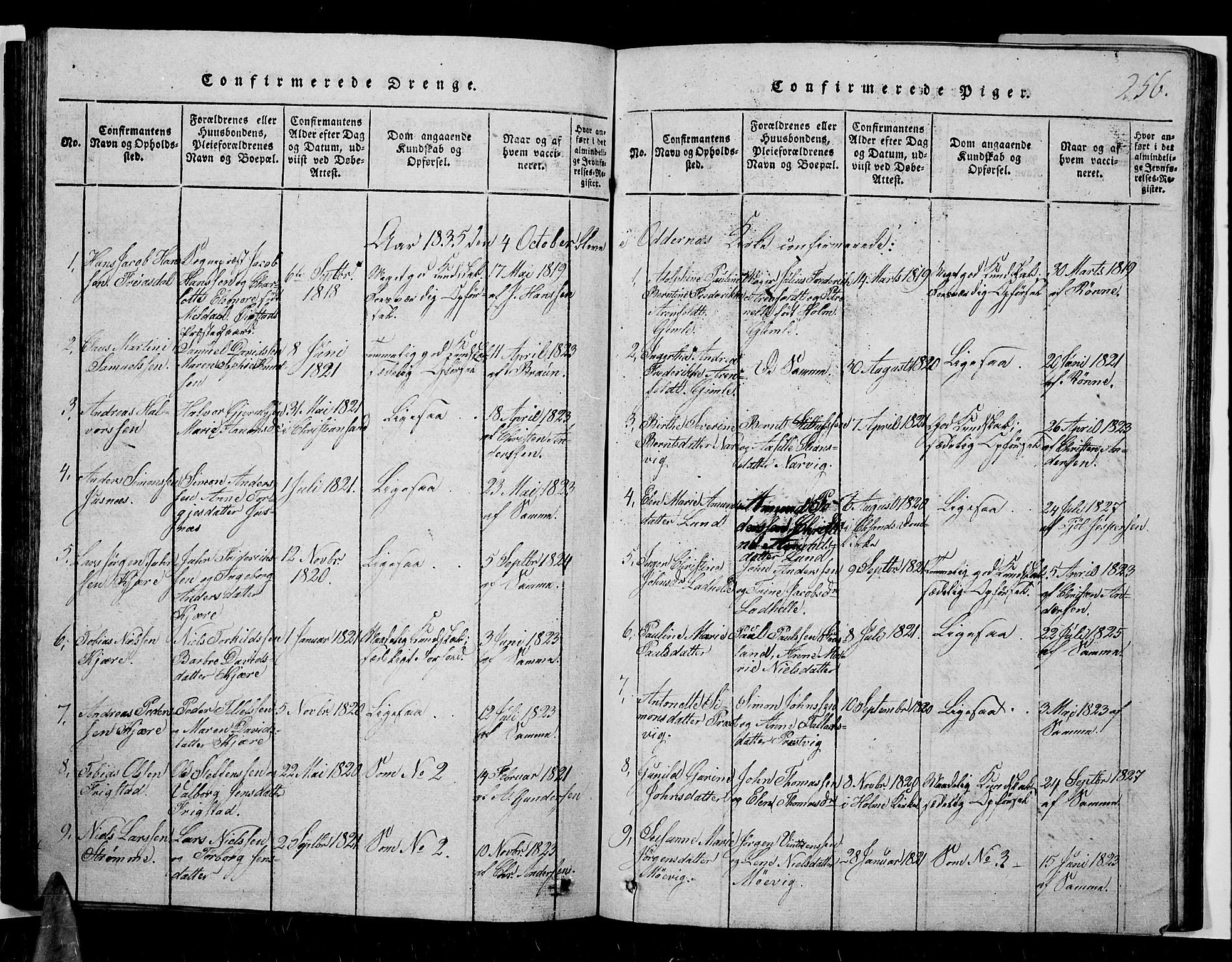 Oddernes sokneprestkontor, AV/SAK-1111-0033/F/Fb/Fba/L0003: Parish register (copy) no. B 3, 1820-1838, p. 256