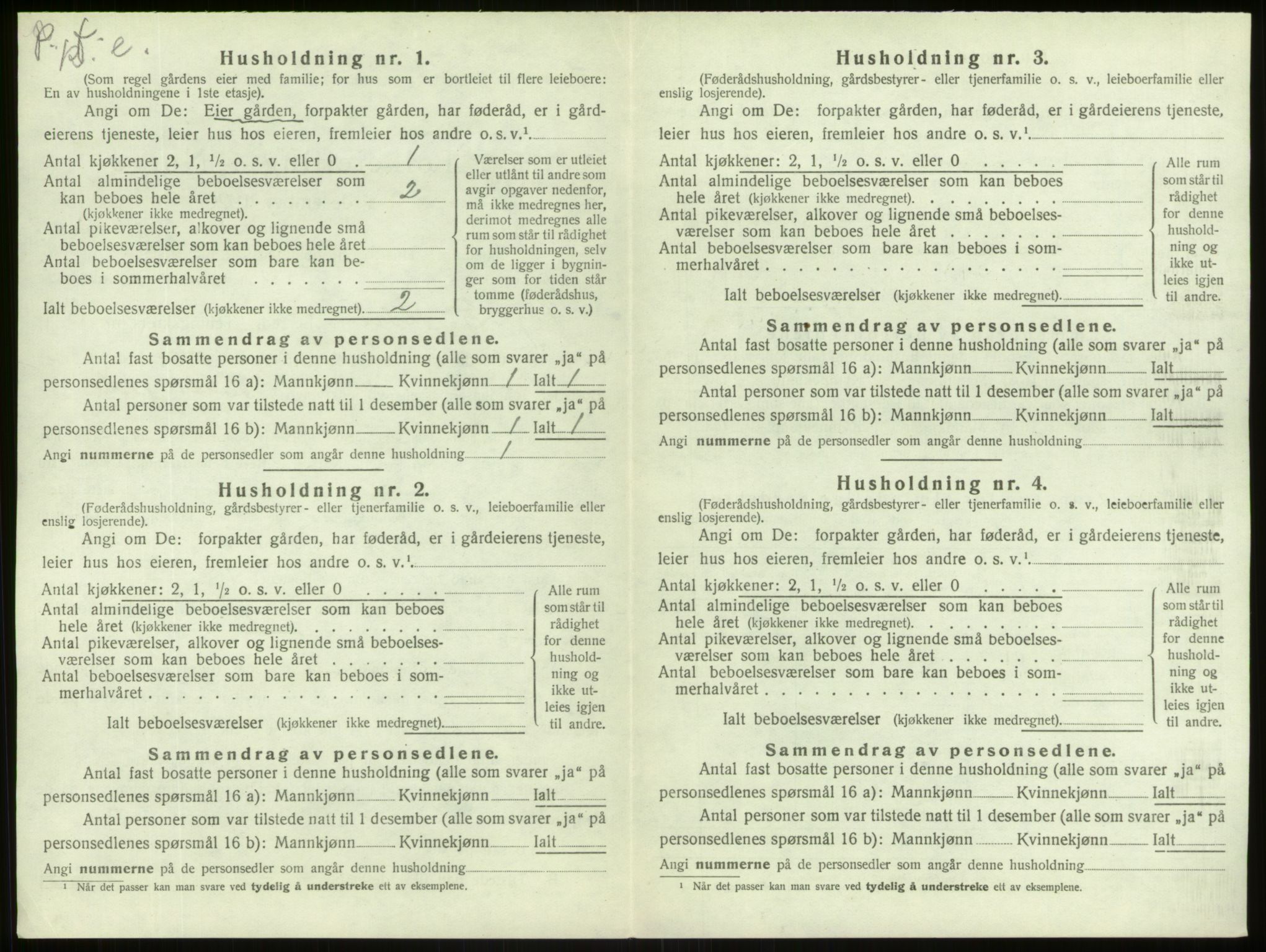 SAB, 1920 census for Lærdal, 1920, p. 517