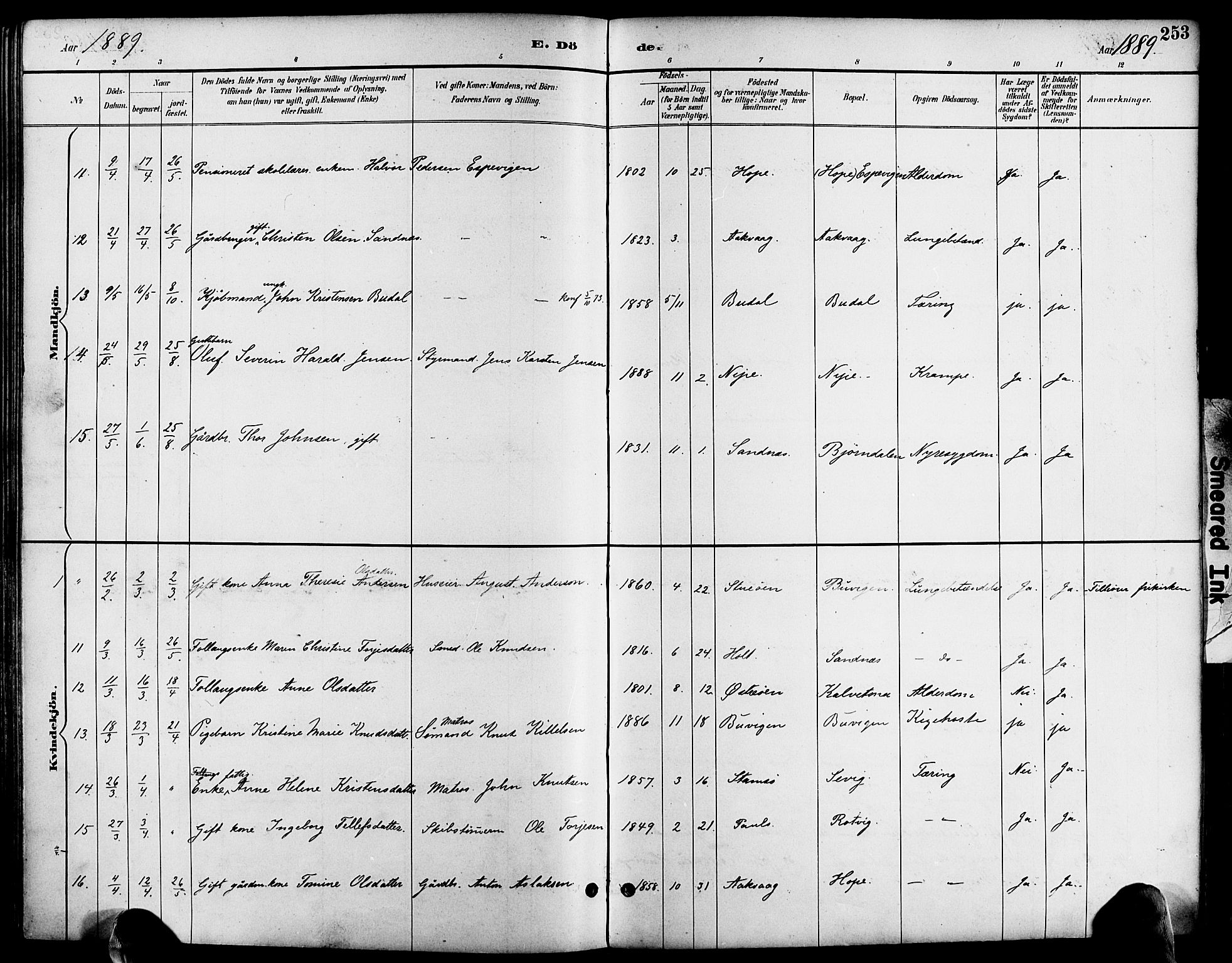 Søndeled sokneprestkontor, AV/SAK-1111-0038/F/Fa/L0005: Parish register (official) no. A 5, 1889-1899, p. 253